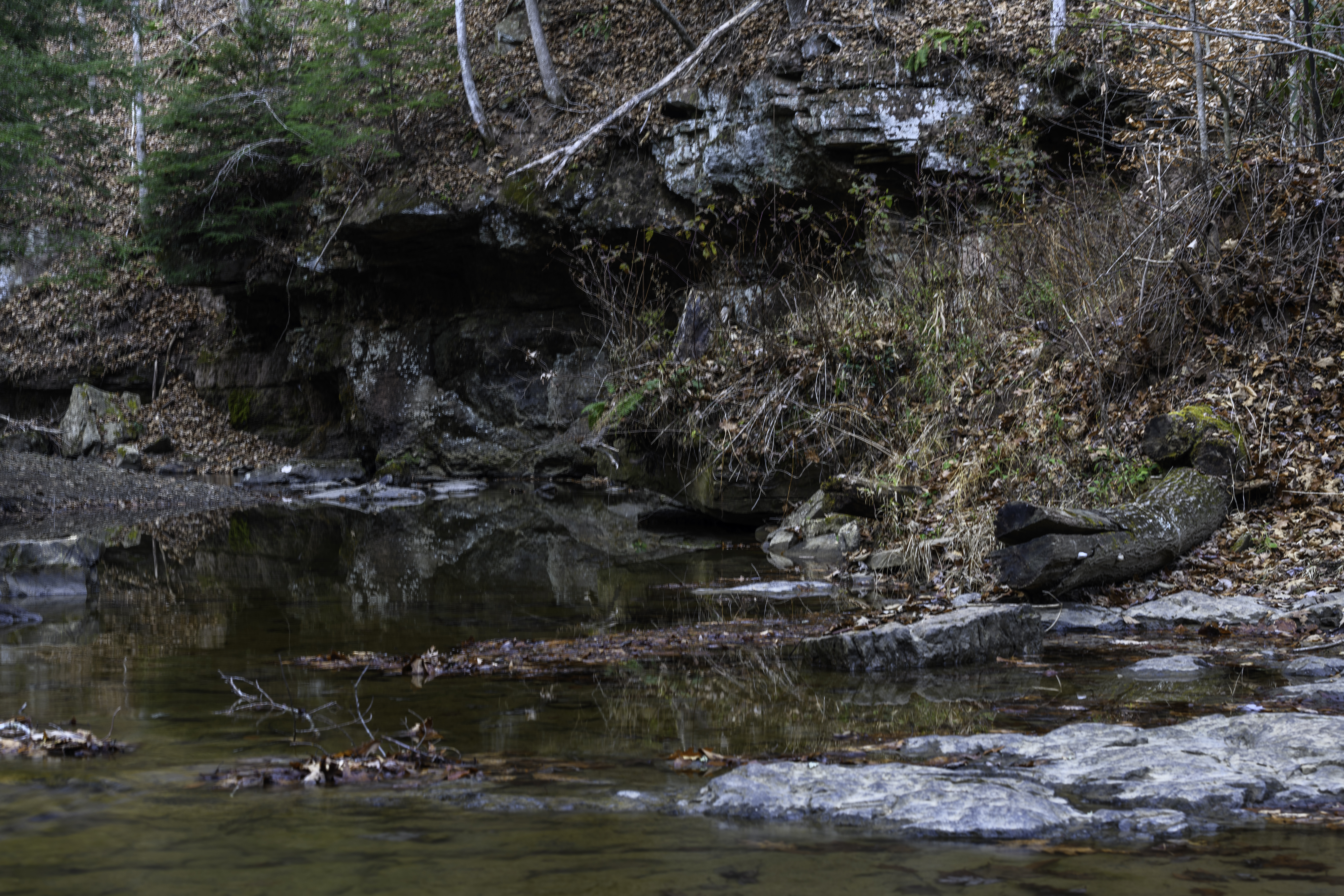 Camp Creek State Park And Forest Campground