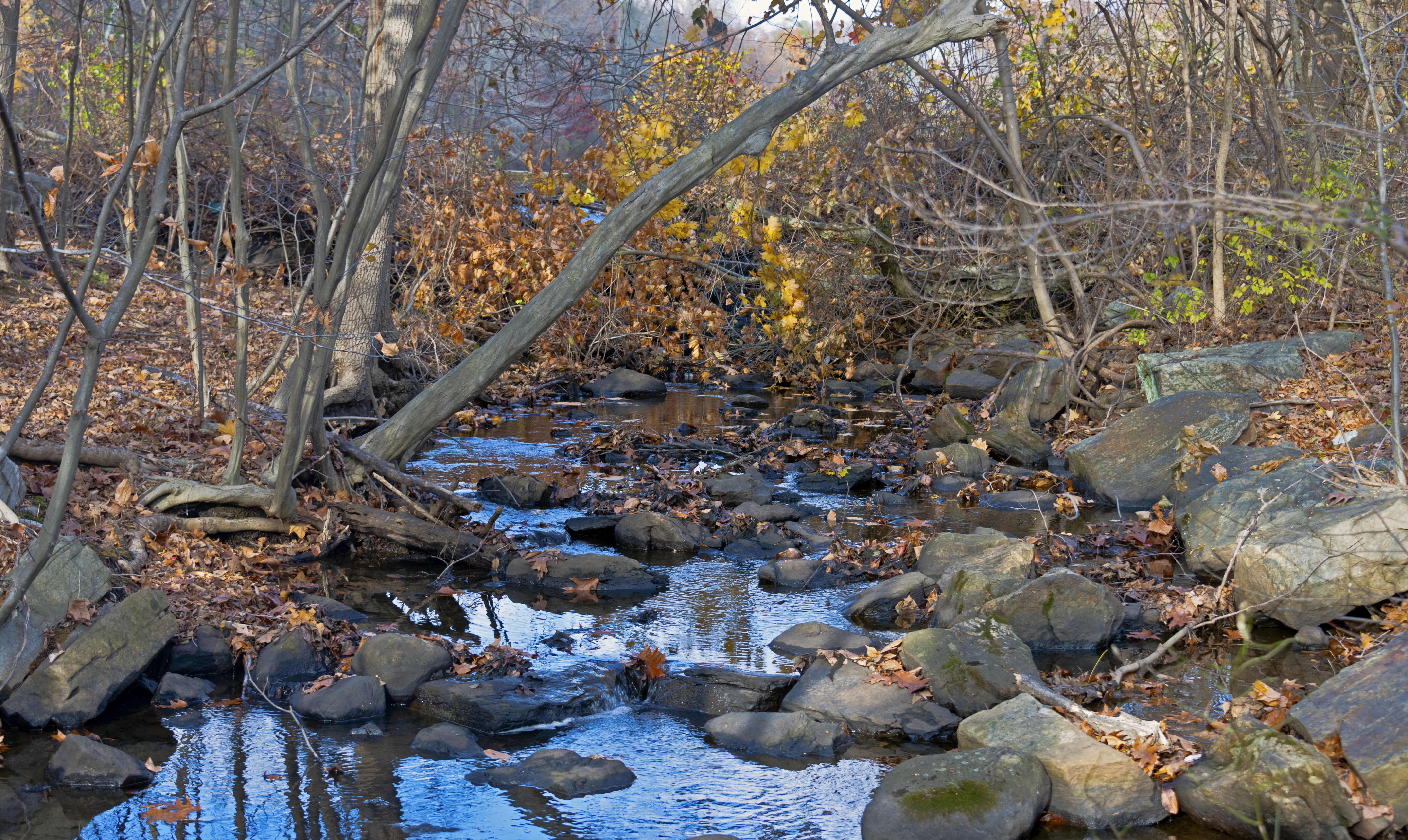Millwood State Park