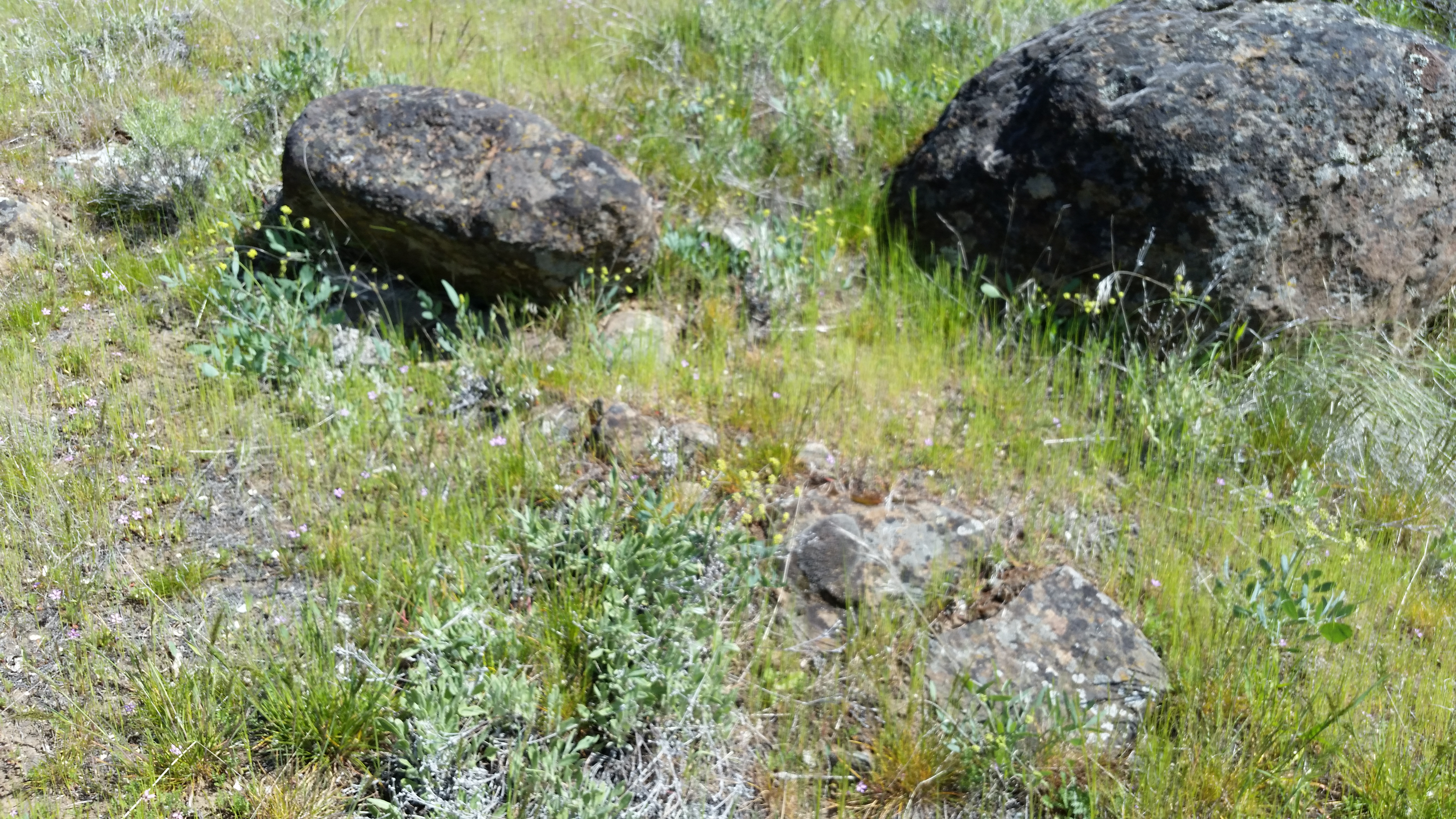 Deschutes River State Recreation Area