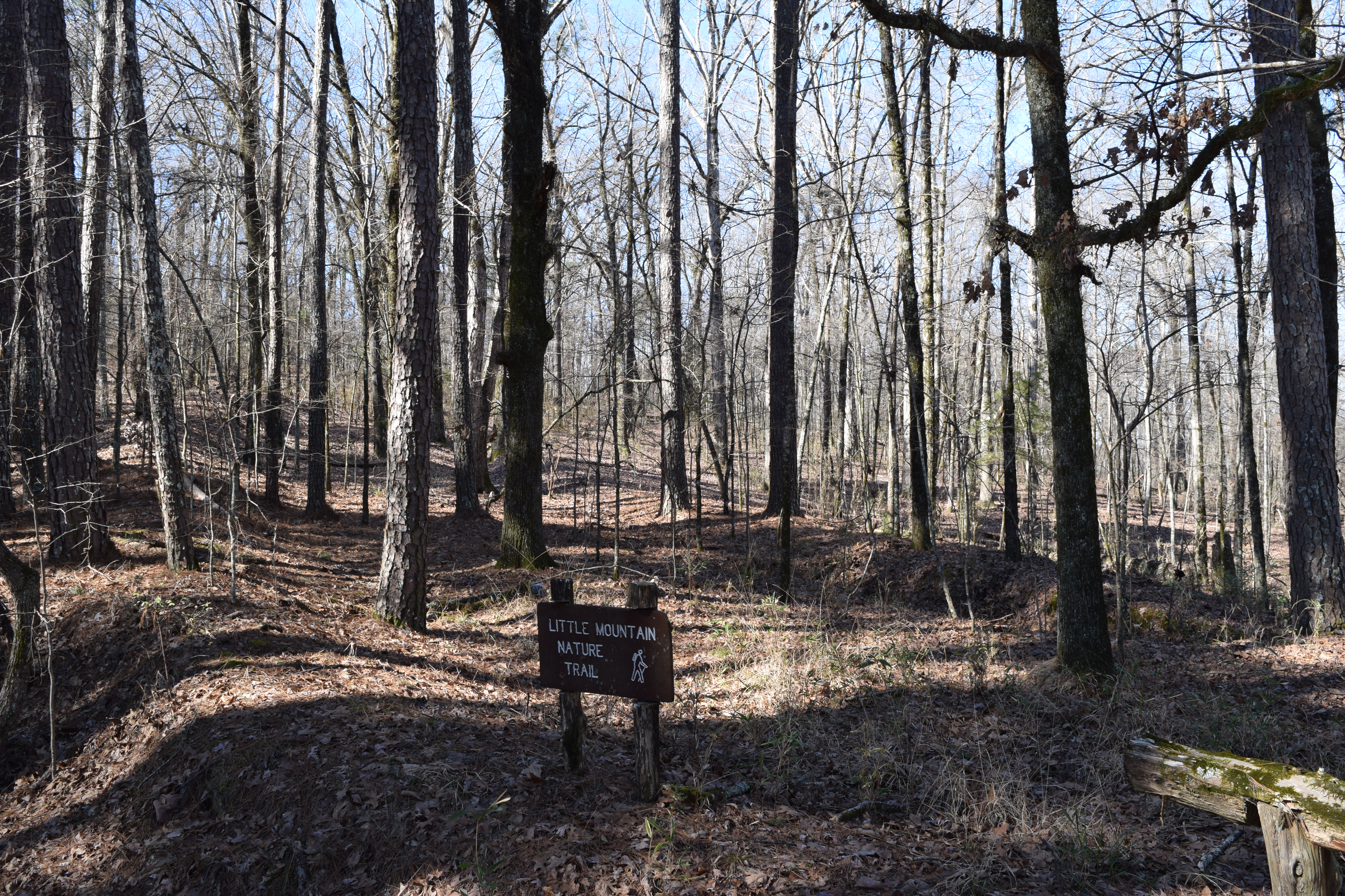 Hugh White Campground