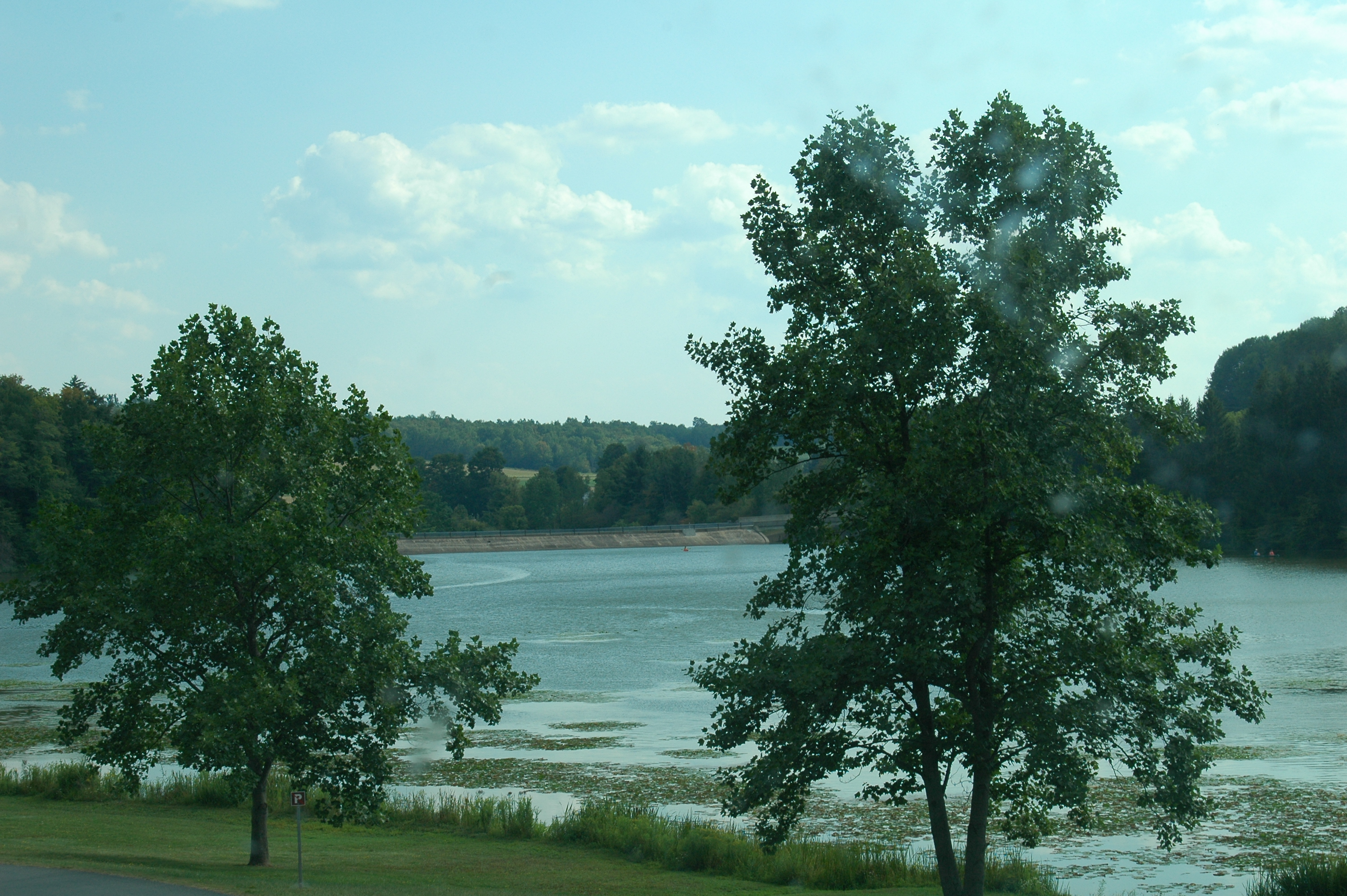 Hills Creek State Park