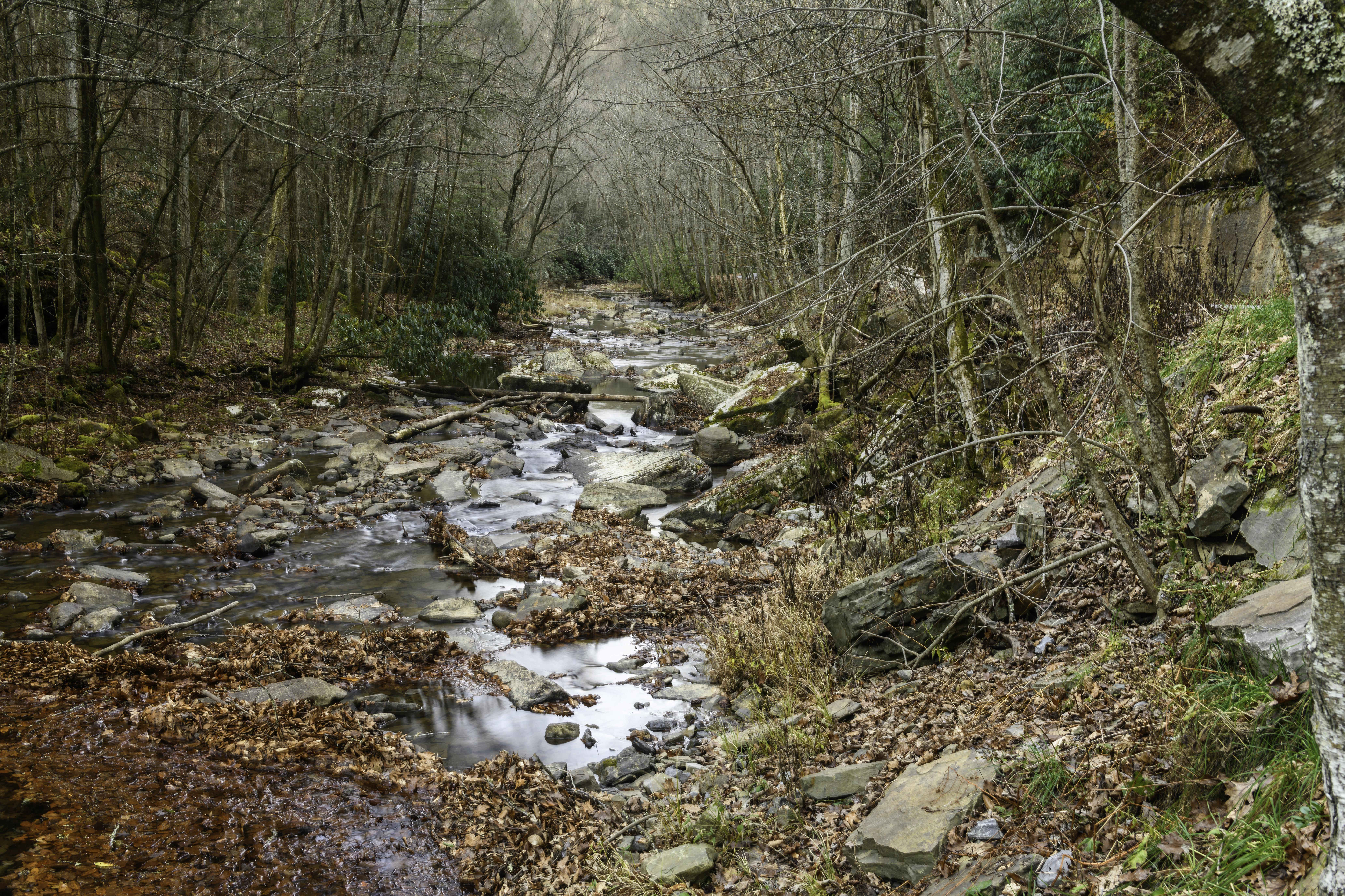 Camp Creek State Park And Forest Campground