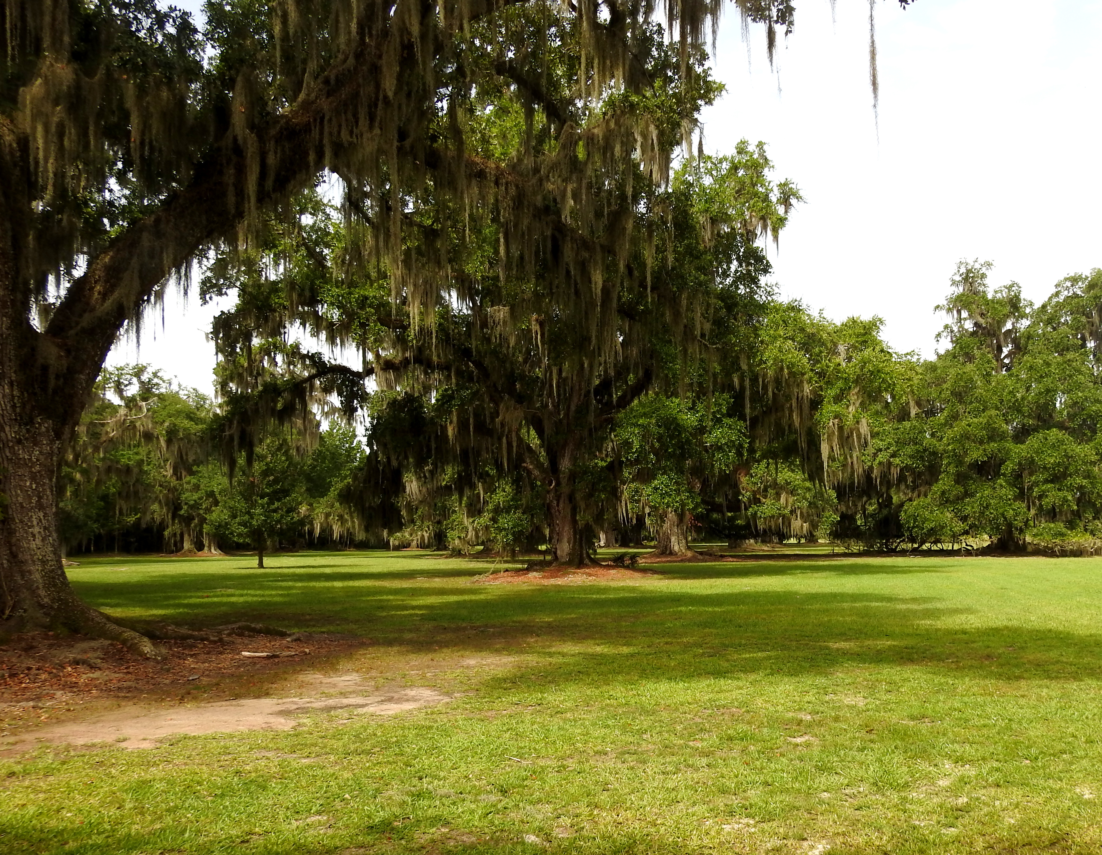 Fontainebleau Campground