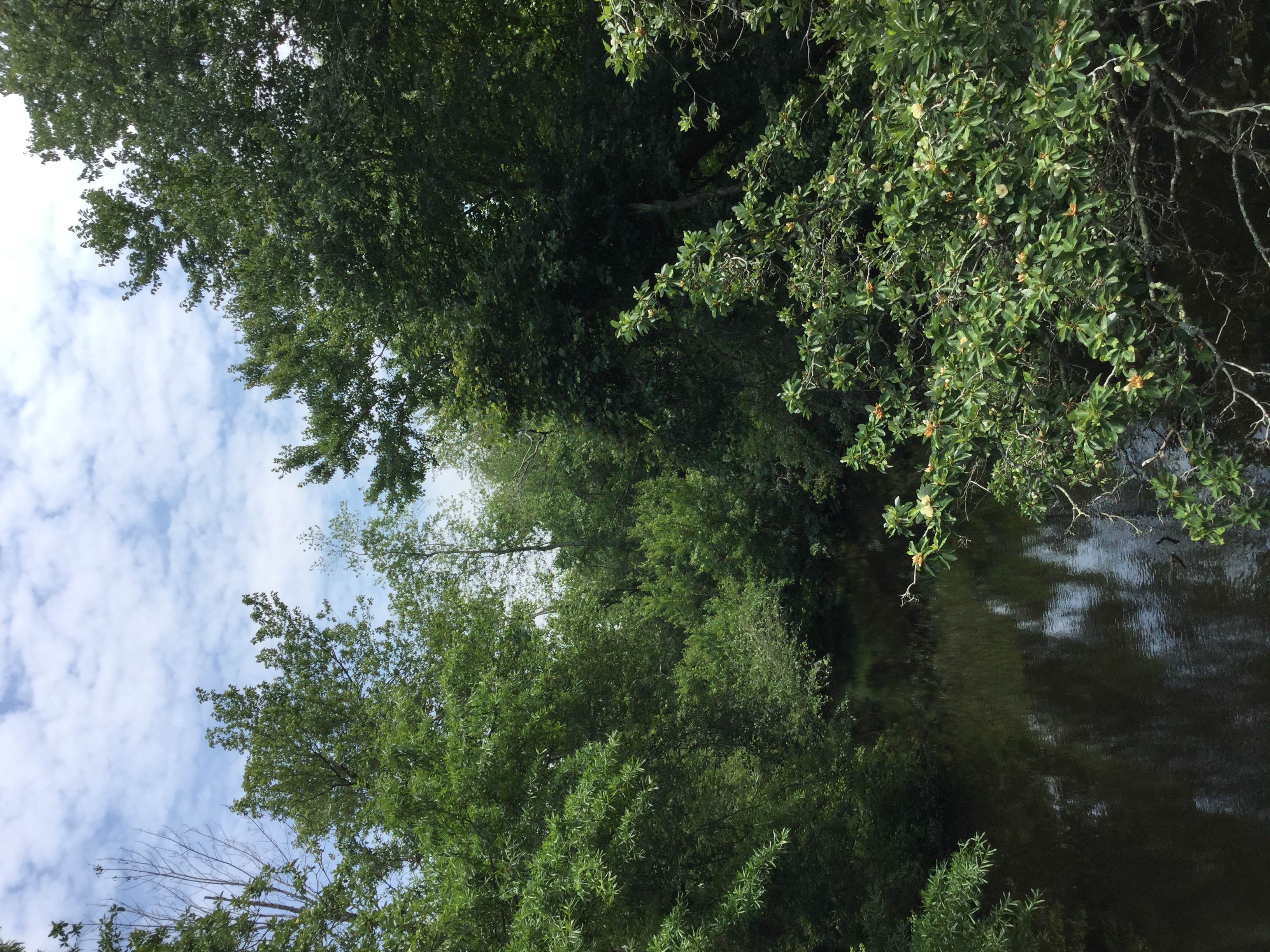 Parvin Campground