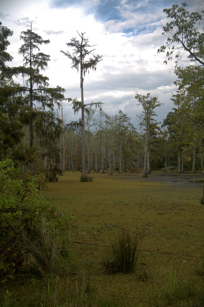 Sam Houston Jones Campground