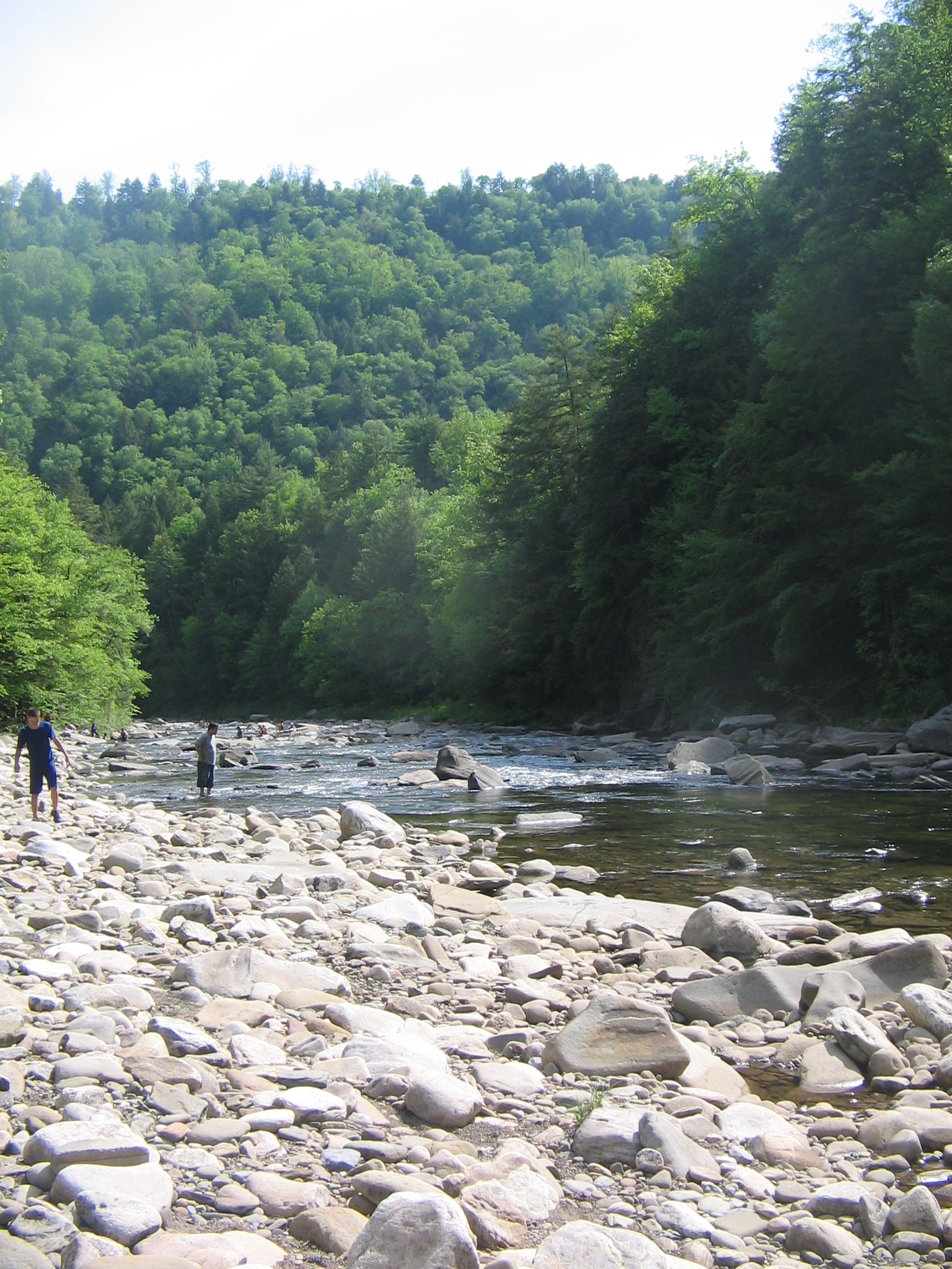Wikimedia Commons