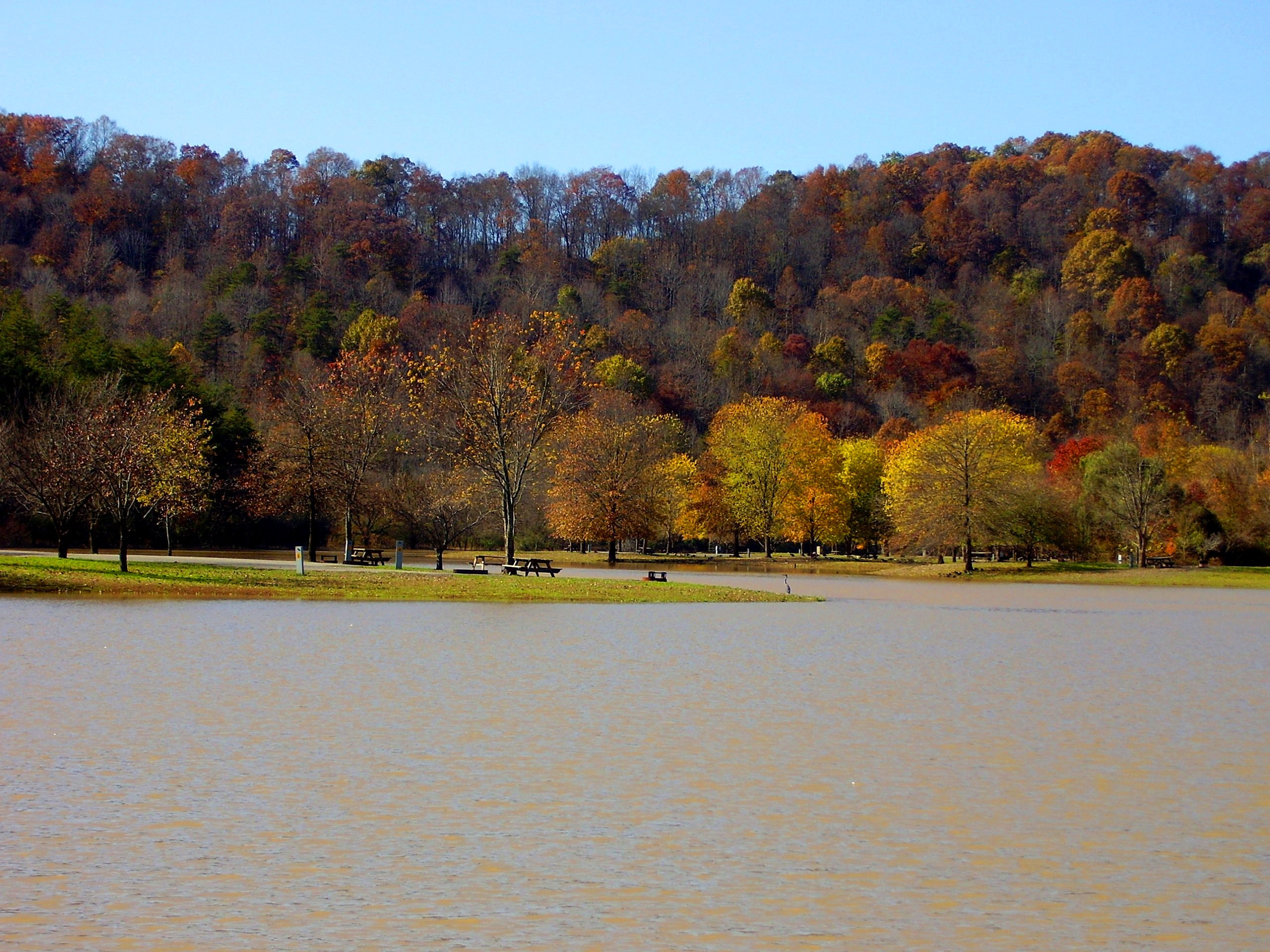 Beech Fork Campground