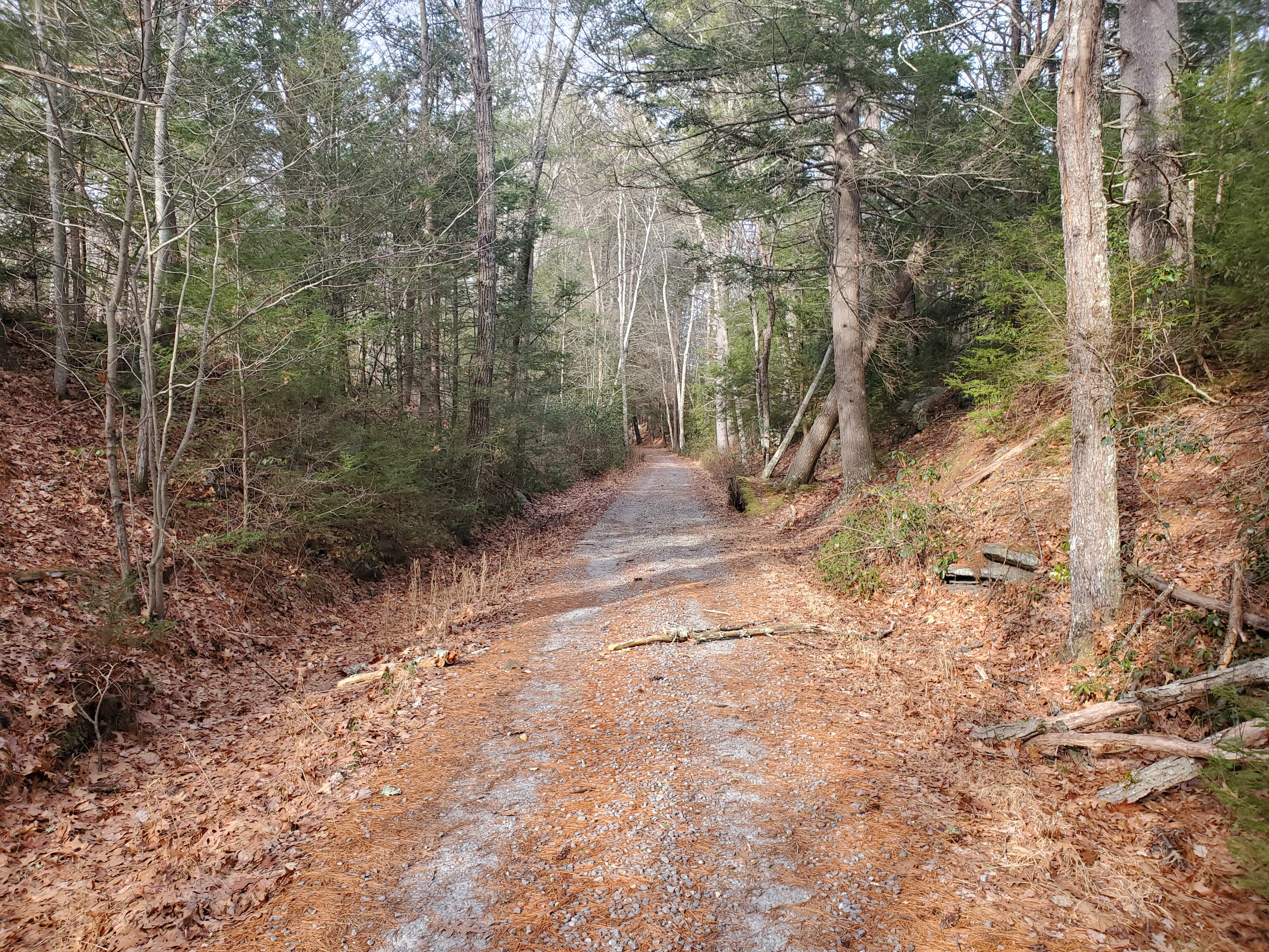 Douglas State Forest