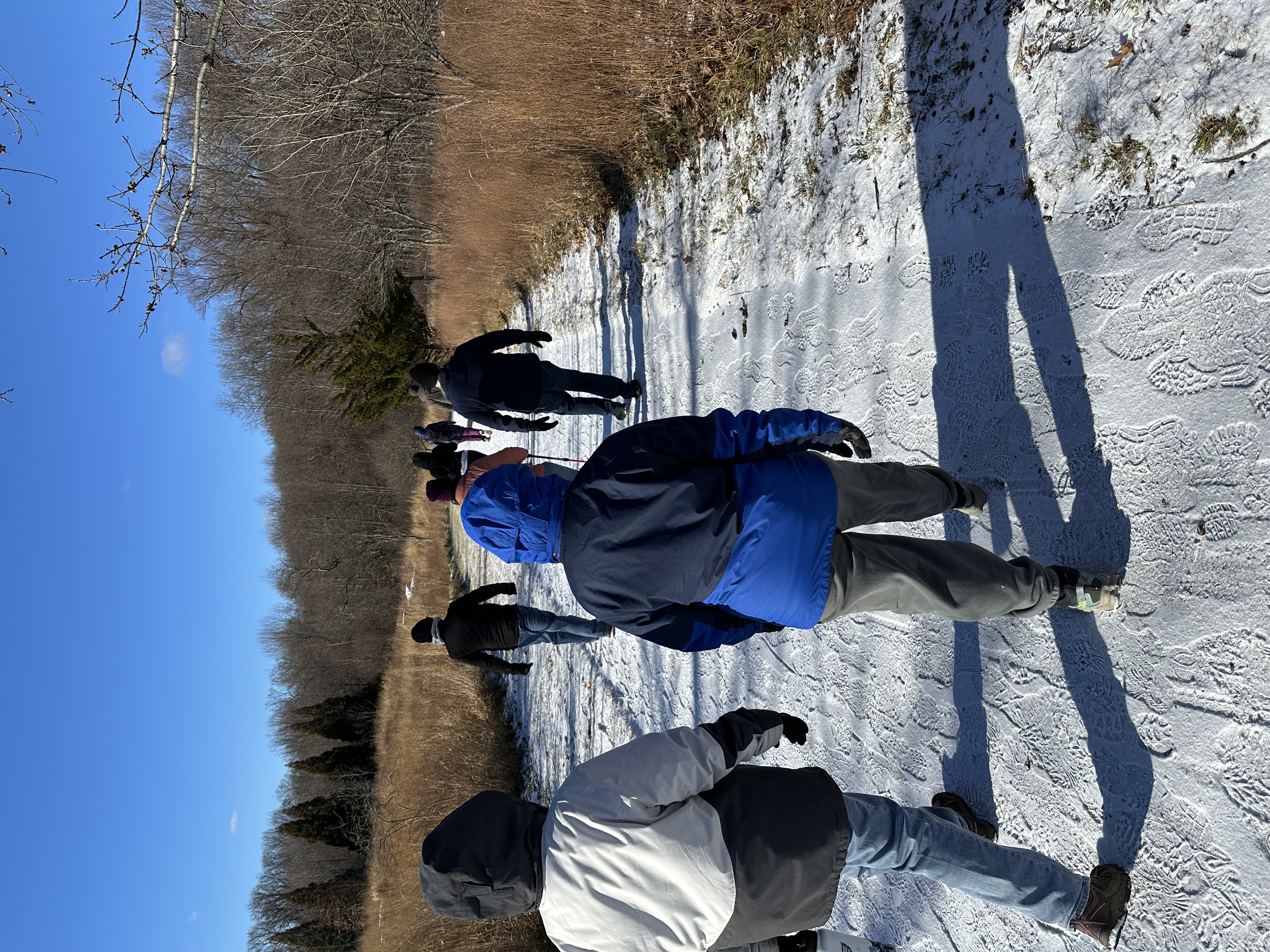 Alapocas Run State Park