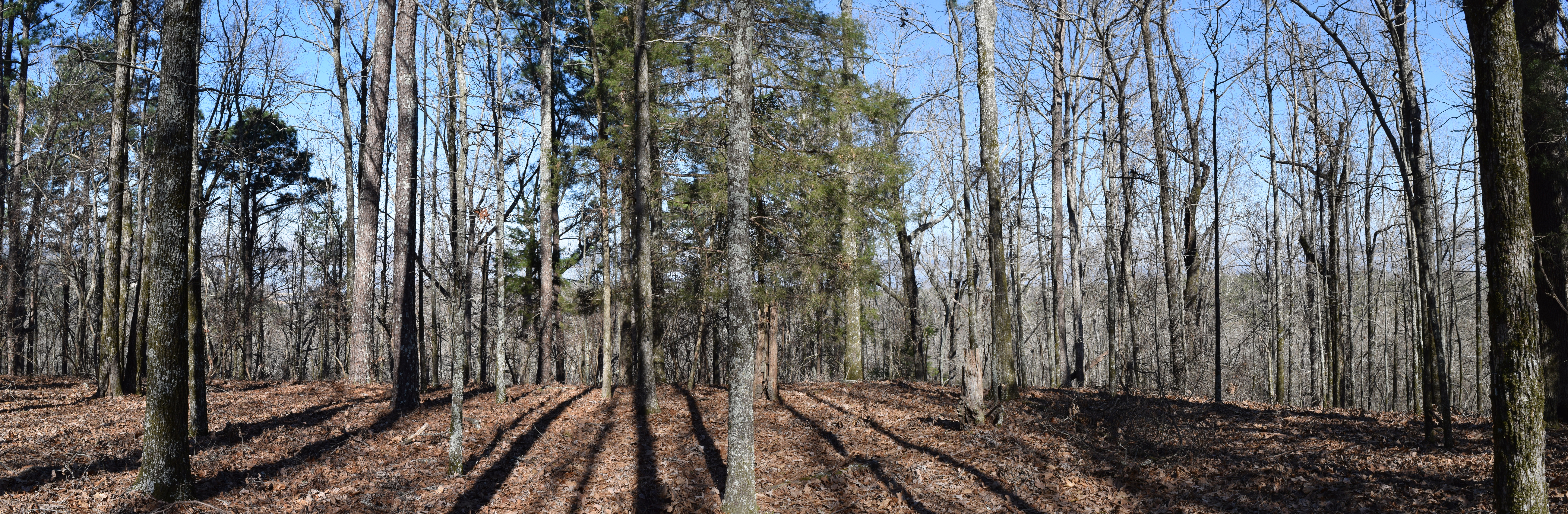Hugh White Campground