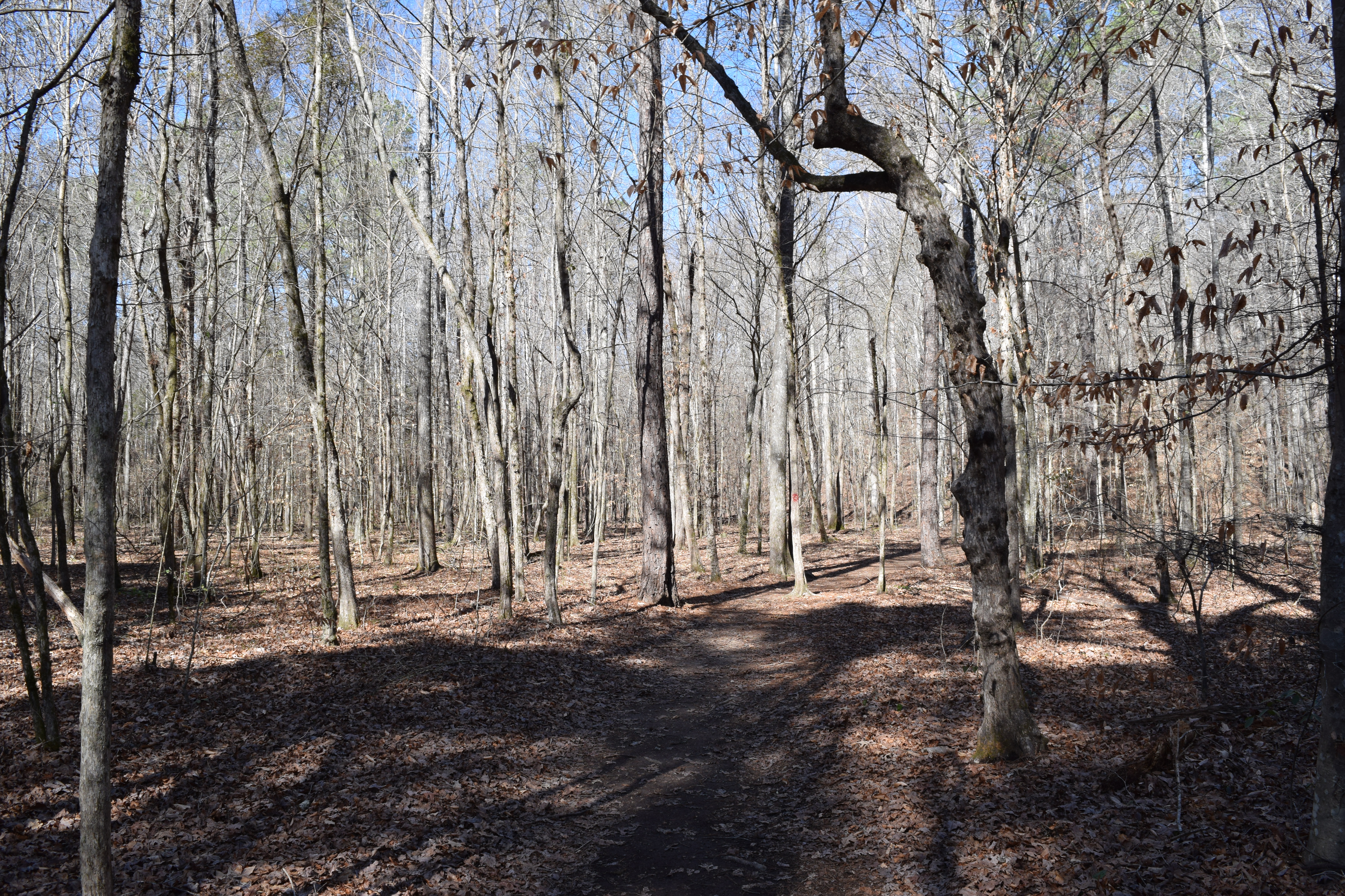 Tishomingo Campground