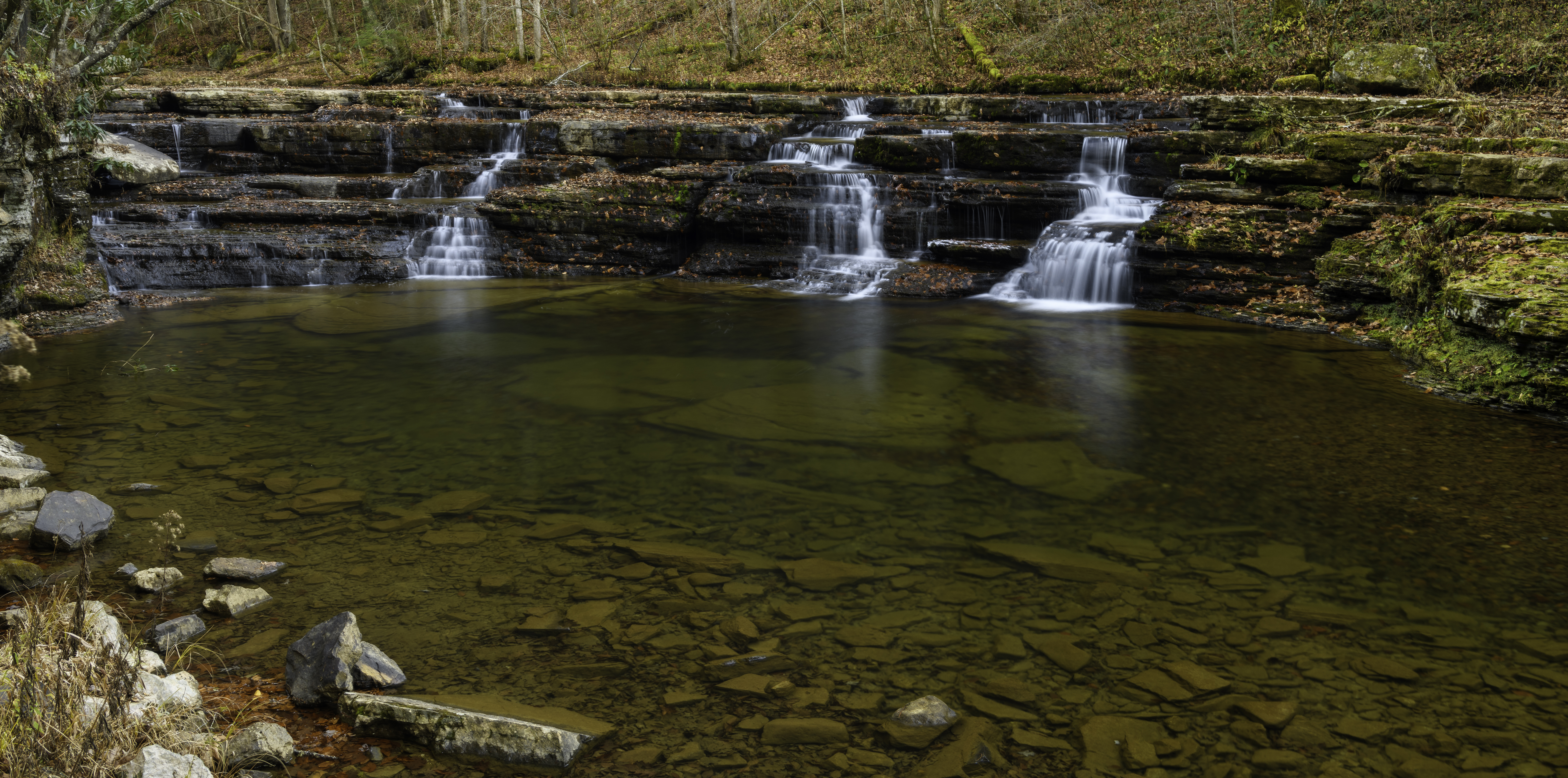 Camp Creek State Park And Forest Campground