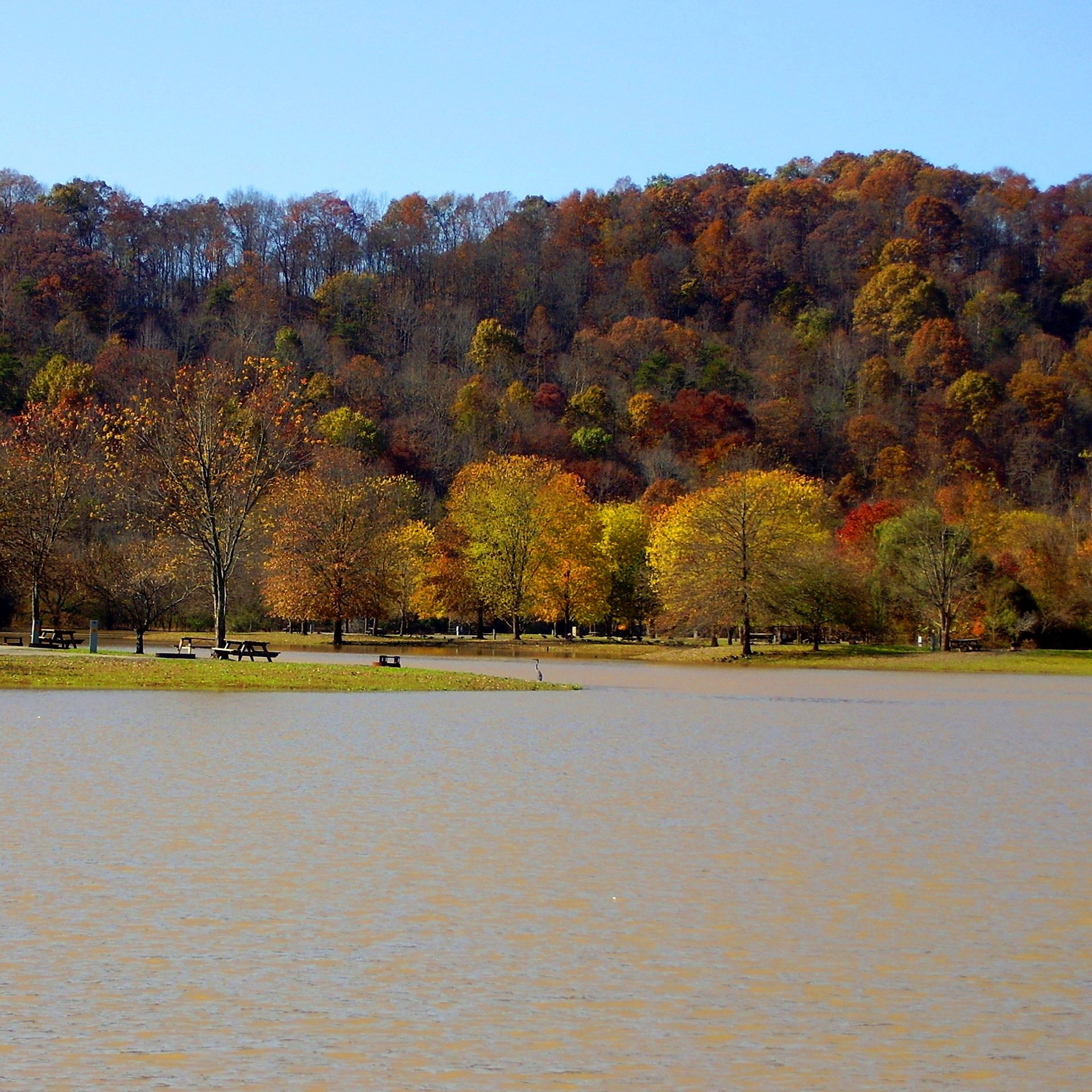 Beech Fork Campground