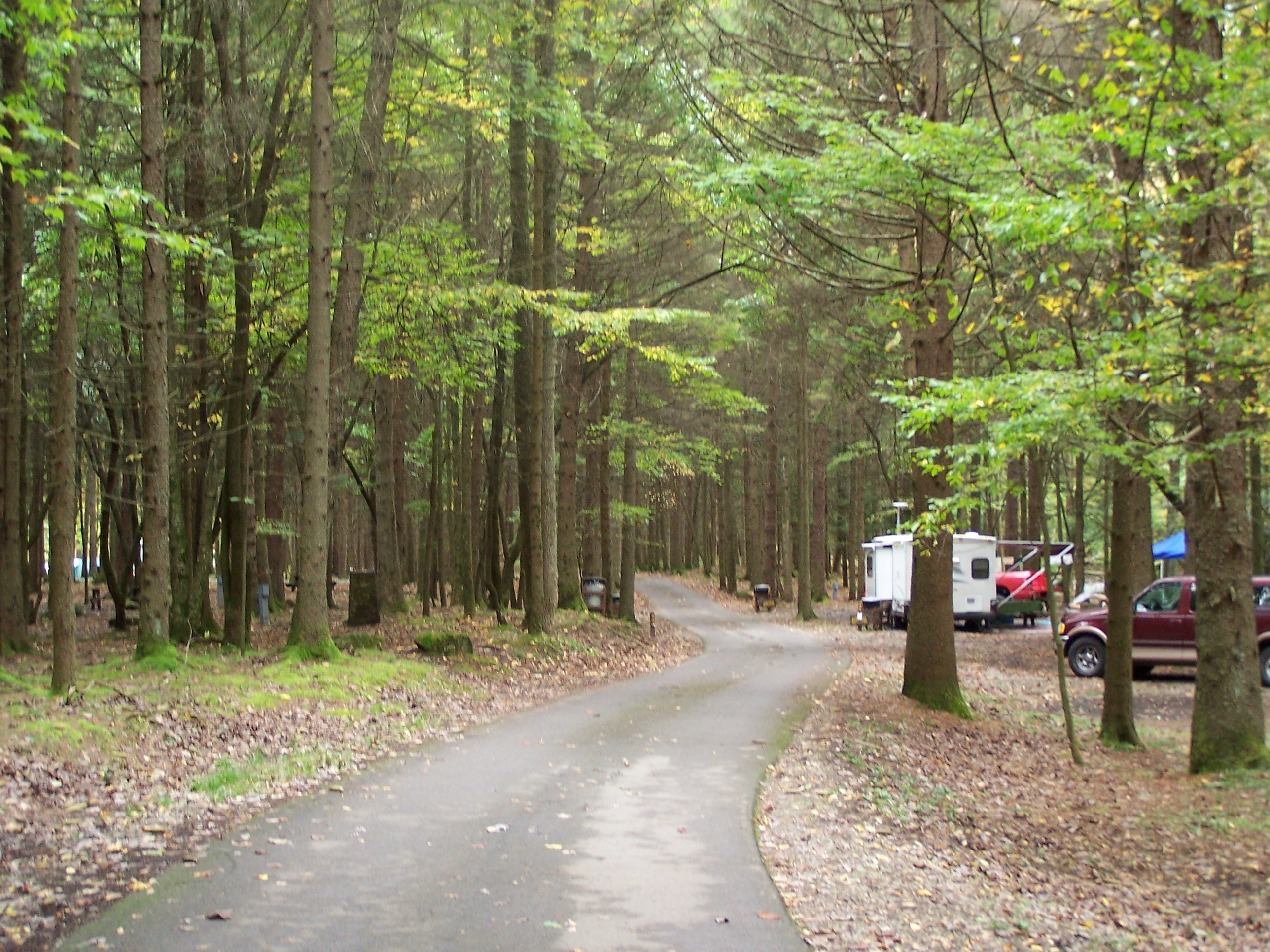 Holly River Campground