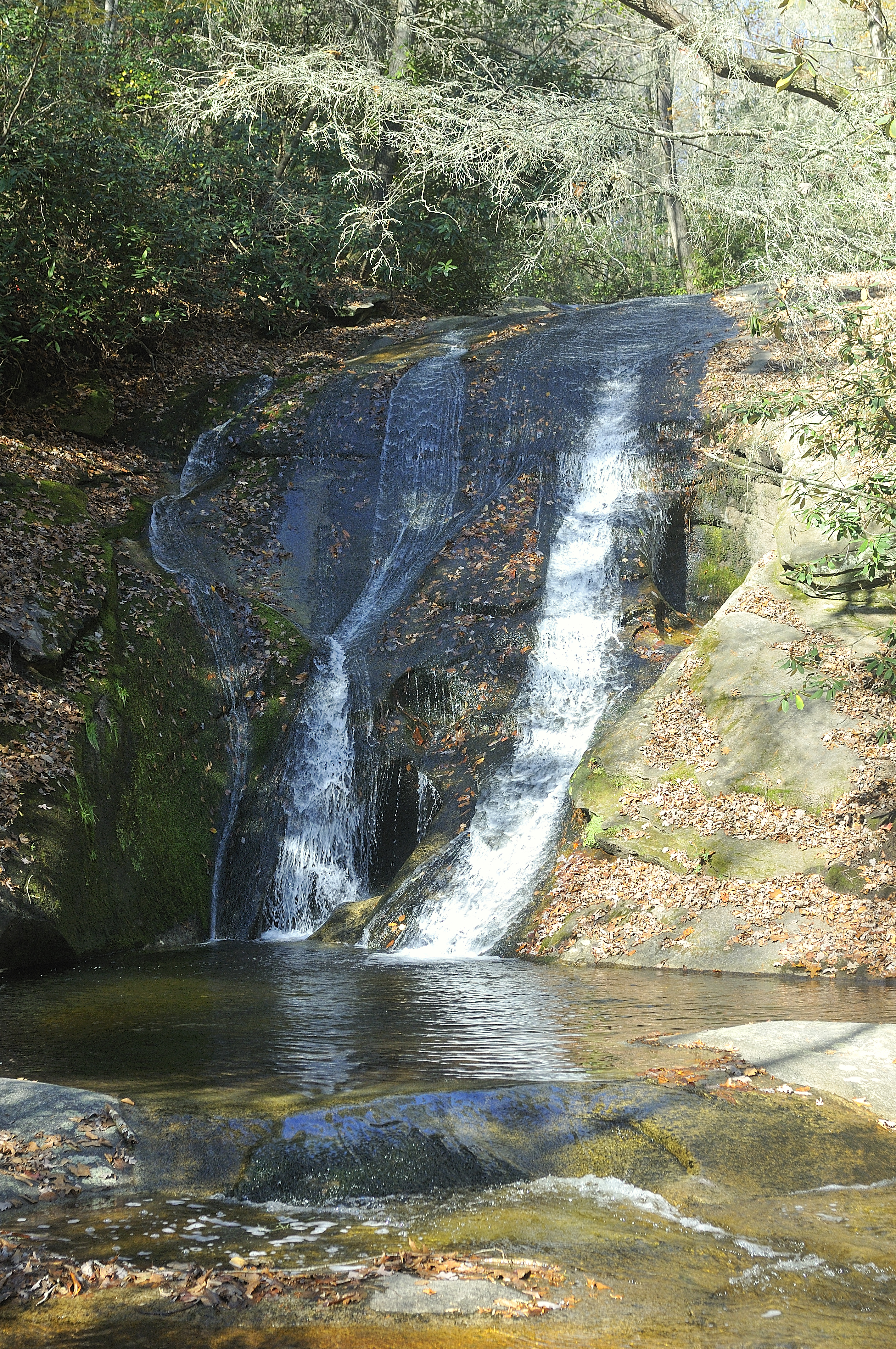 Wikimedia Commons