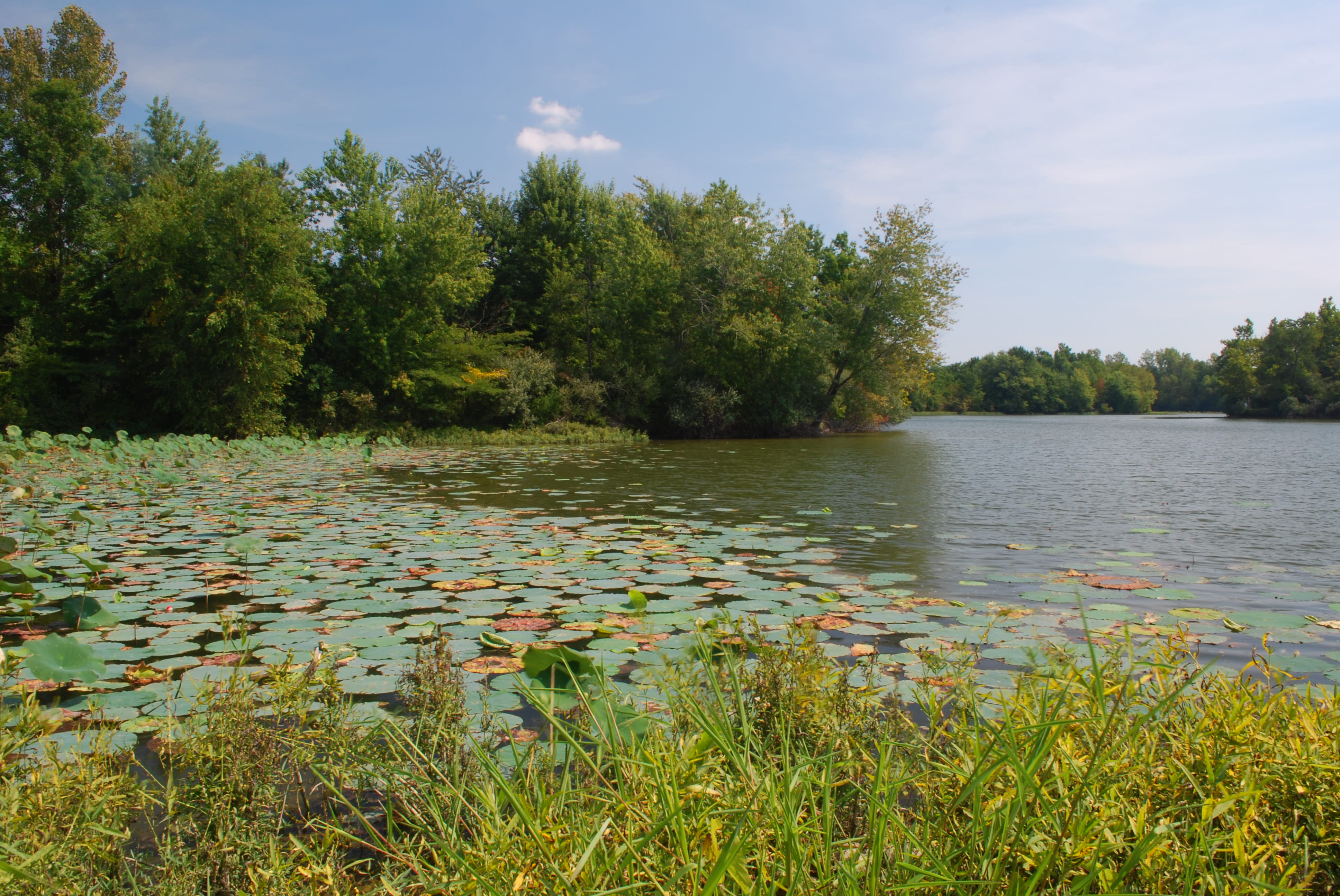 Sangchris Lake Campground