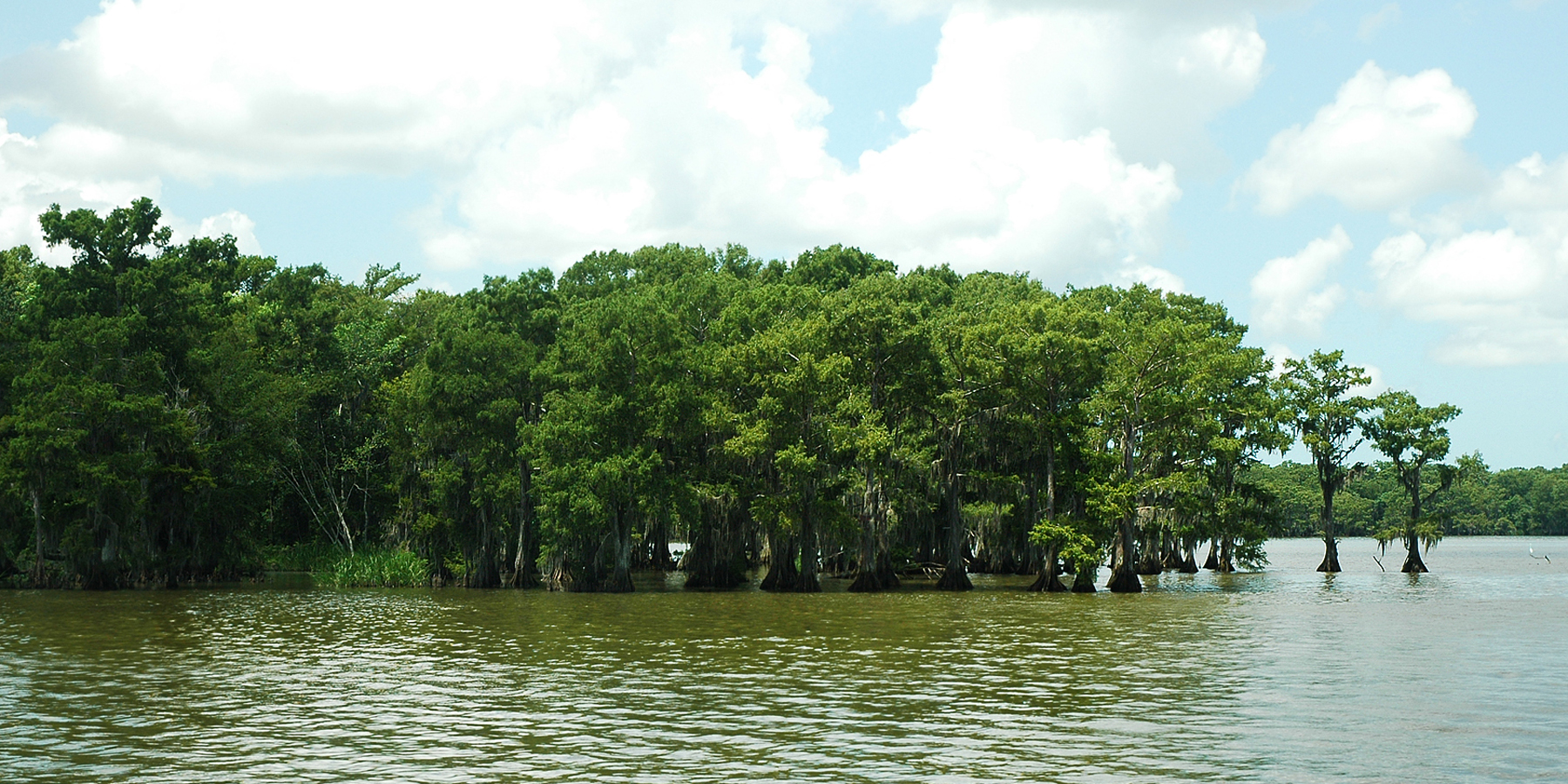Lake Fausse Pointe Campground