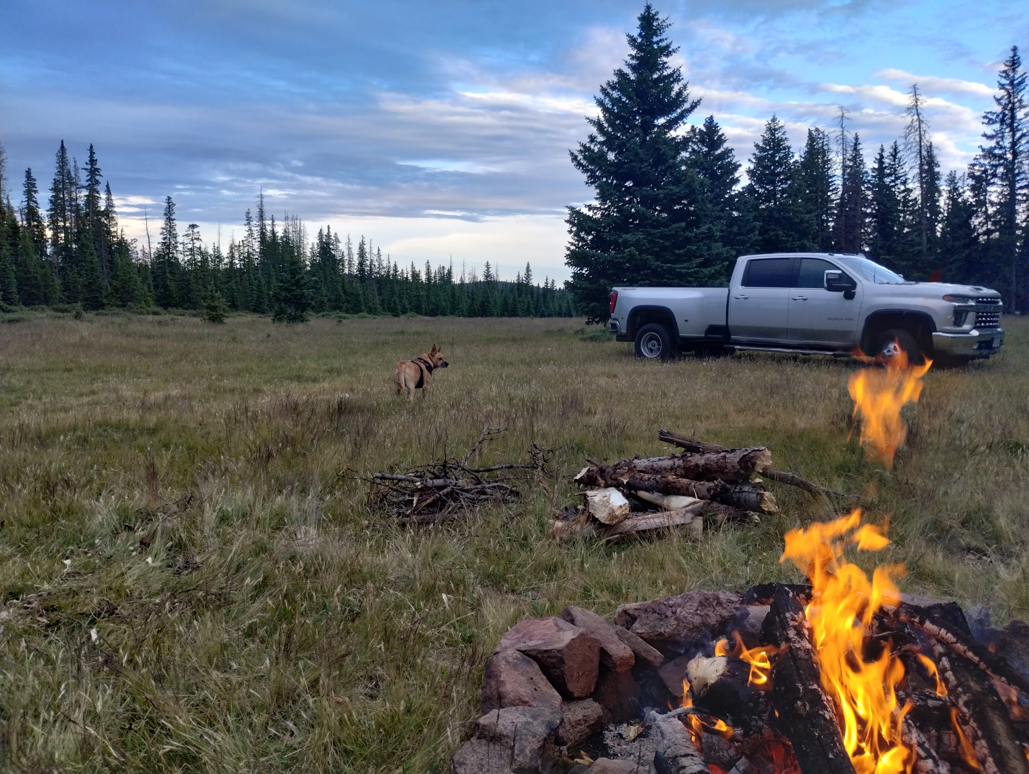 Ophir Creek Campground (Co)