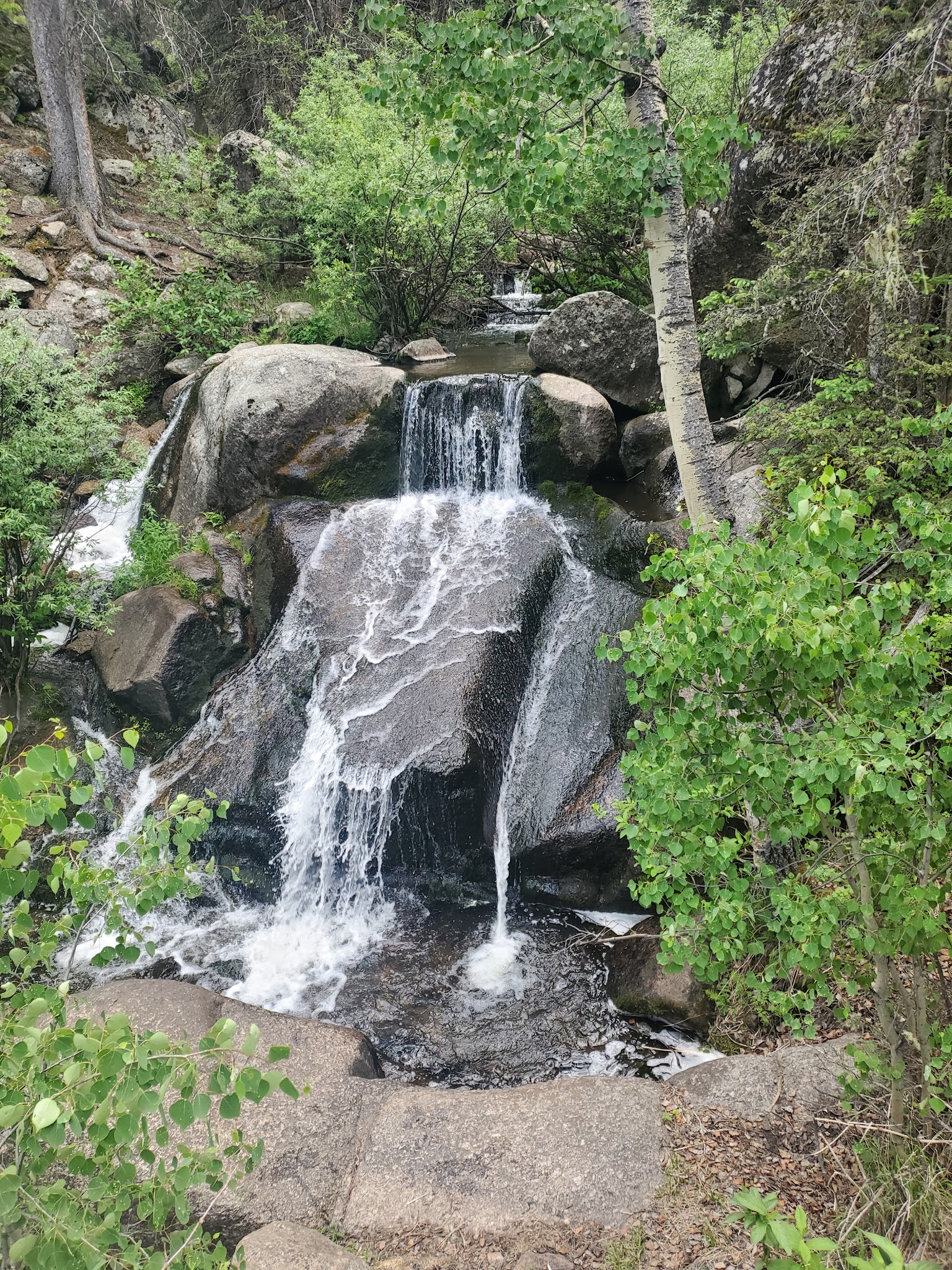 Ophir Creek Campground (Co)