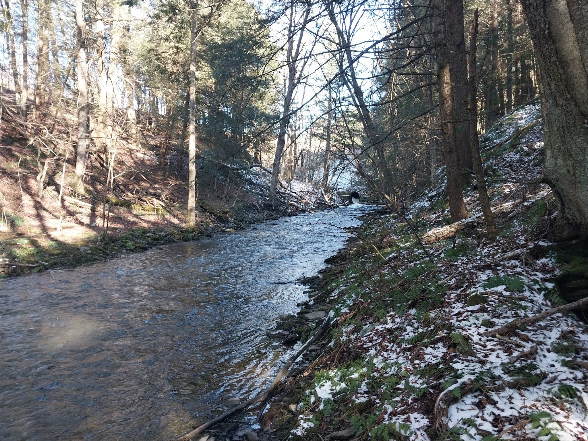 Oquaga Creek State Park