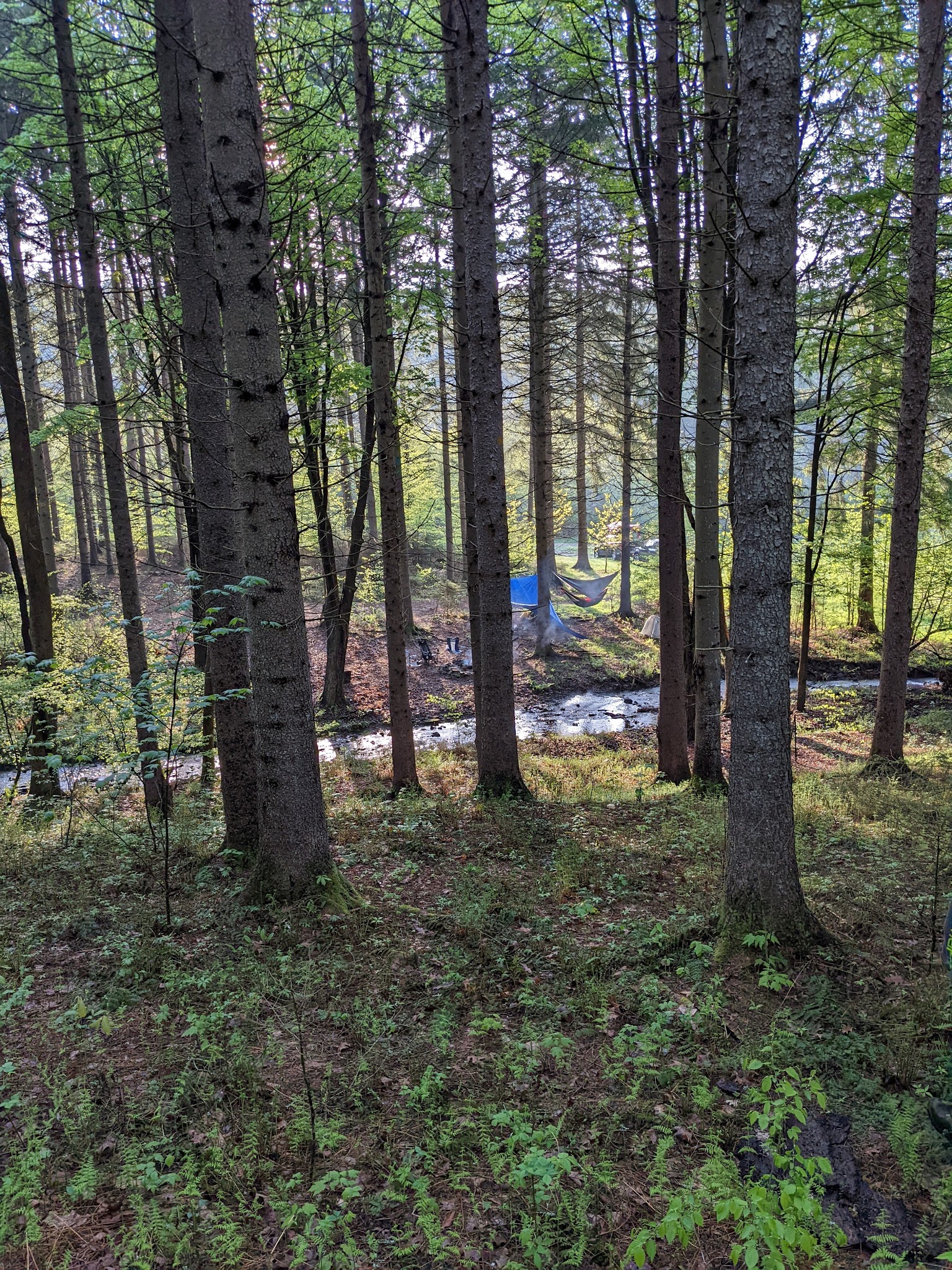 Oquaga Creek State Park