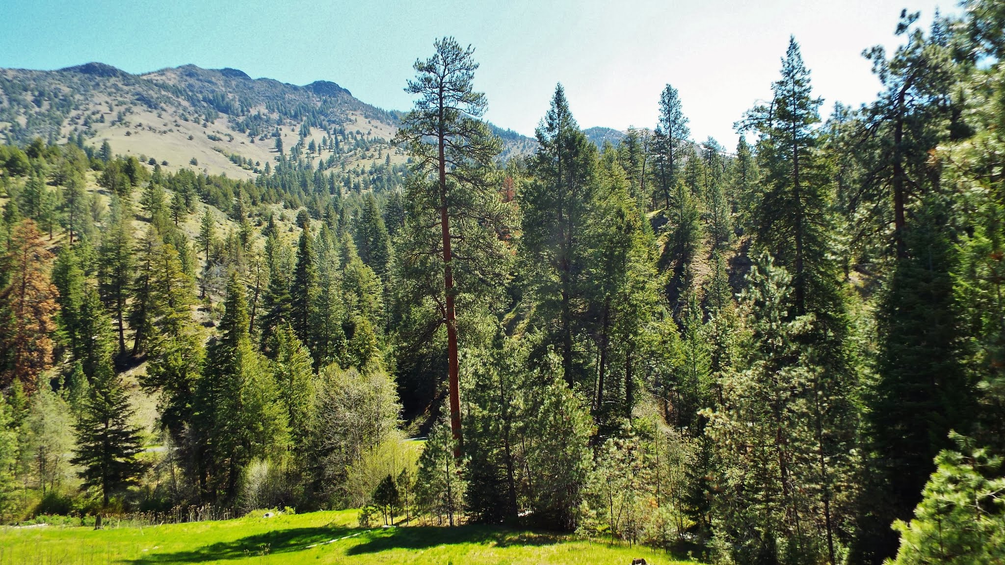 Oregon Mine Campground