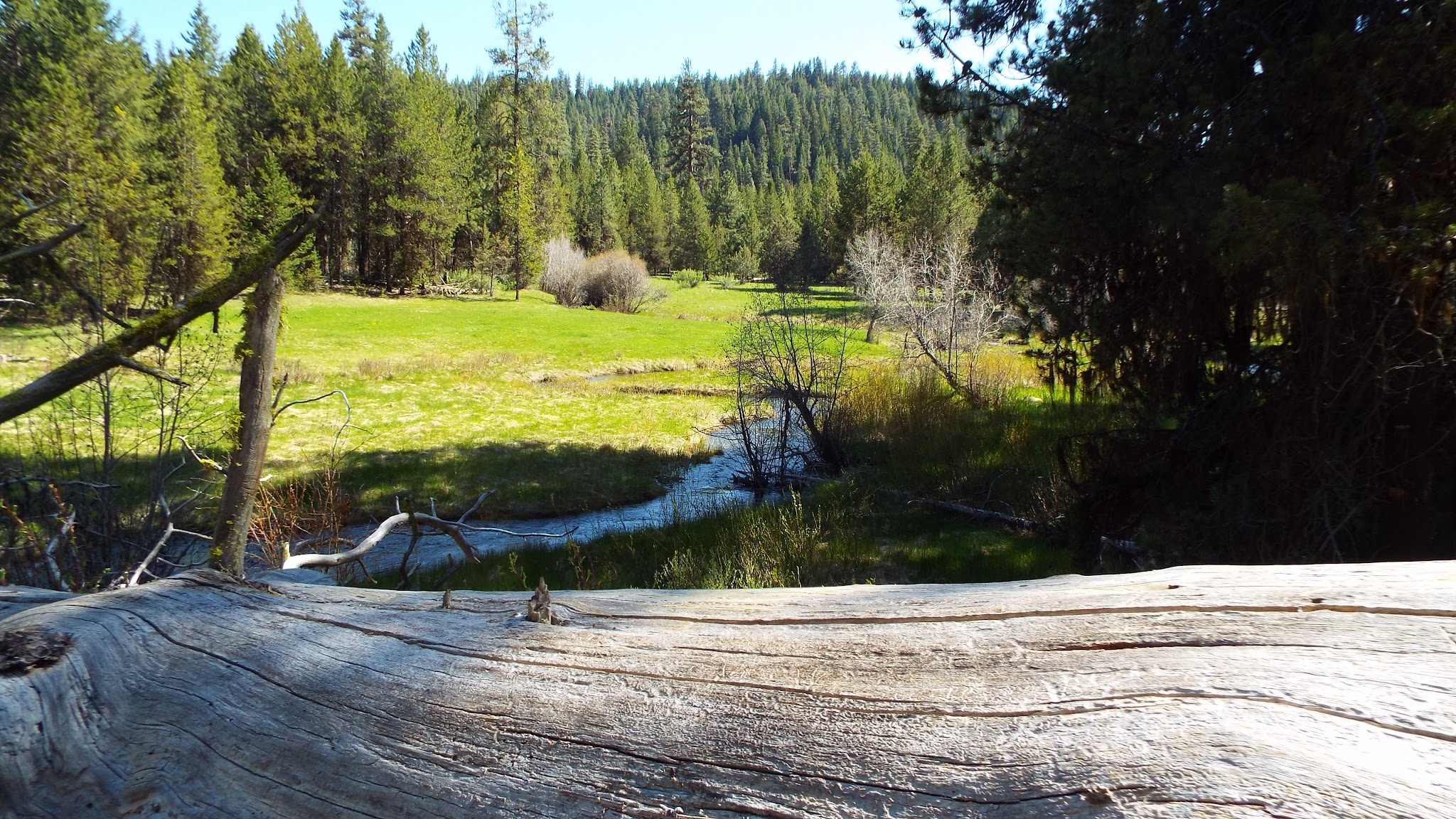 Oregon Mine Campground