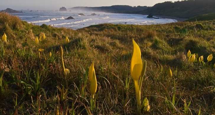 Cape Blanco State Park