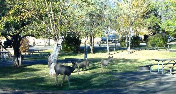 Goose Lake State Recreation Area