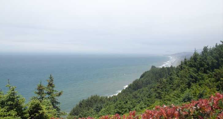 Harris Beach State Park