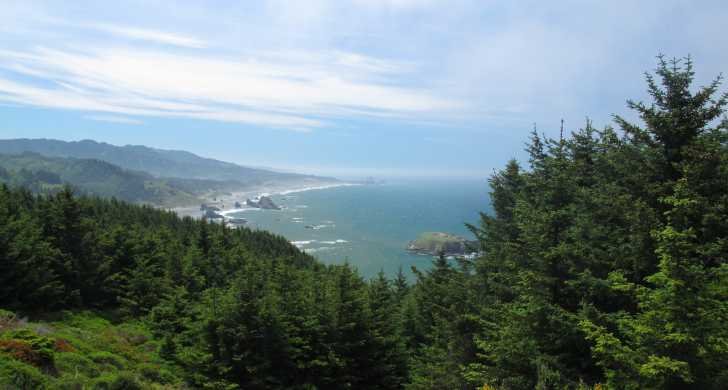 Harris Beach State Park