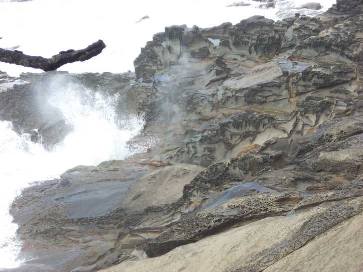 Harris Beach State Park