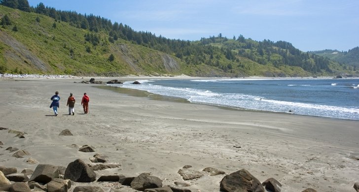 Harris Beach State Park