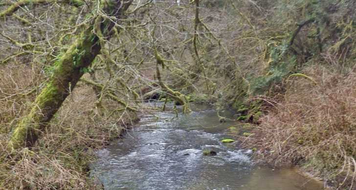 Touvelle State Recreation Site