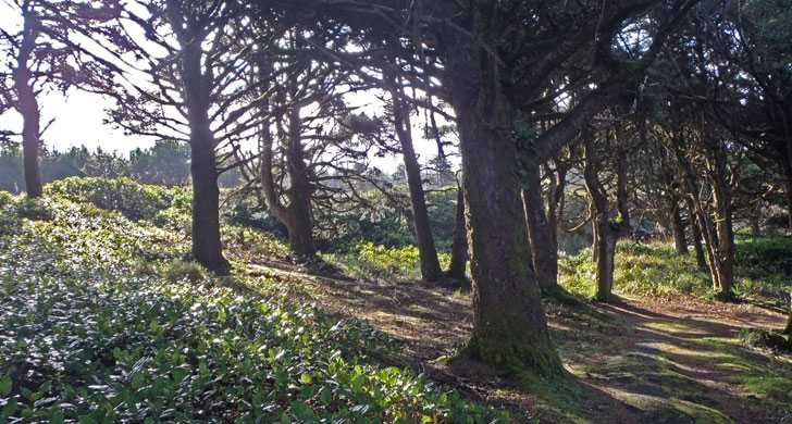 Viento State Park