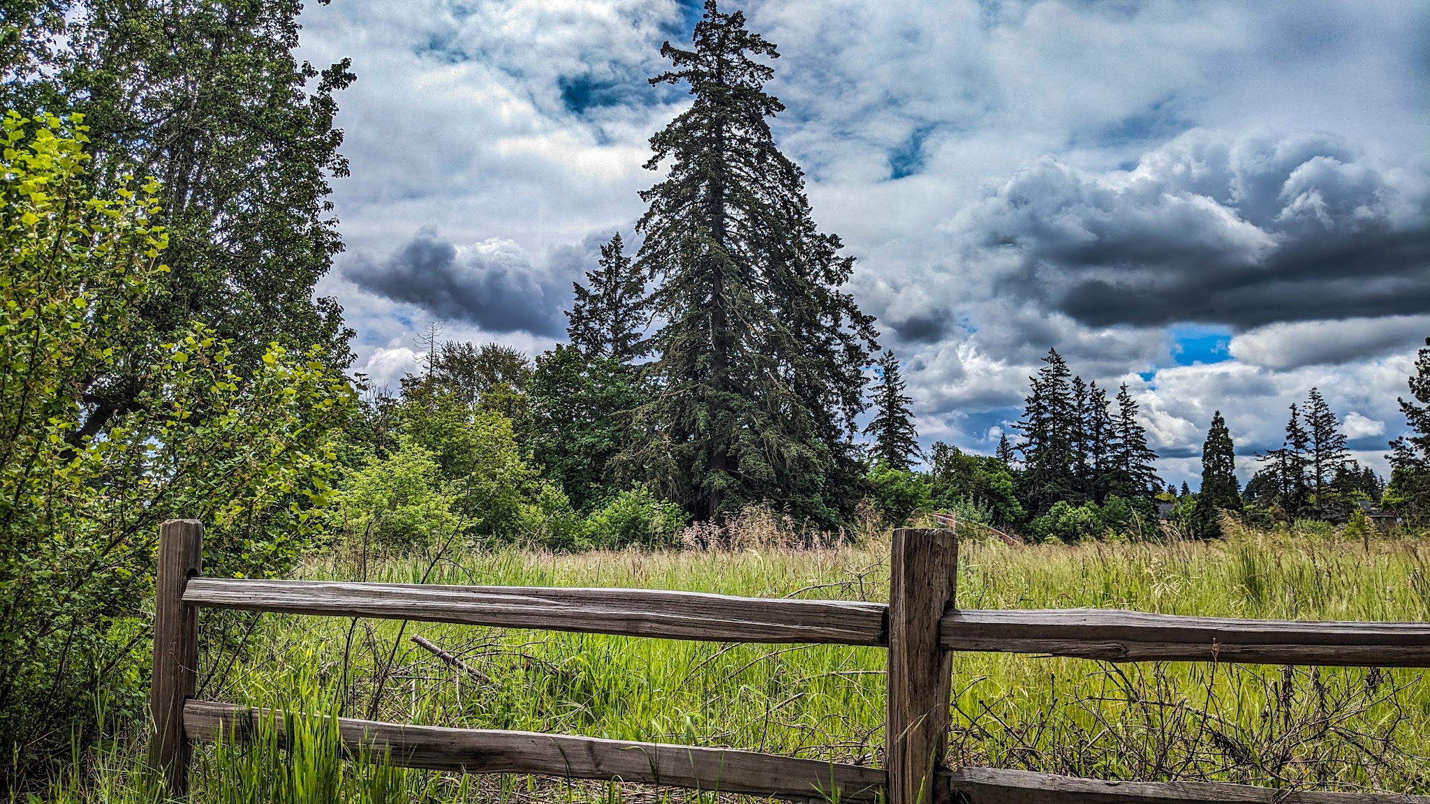 Orenco Woods Nature Park Activities Campground