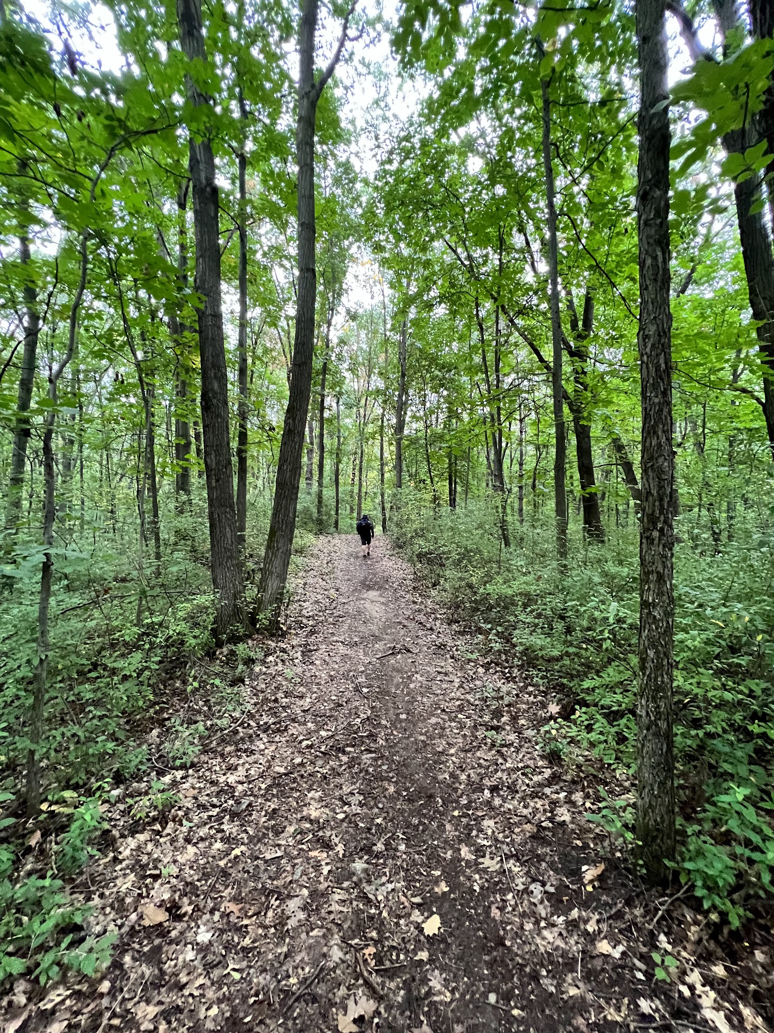 Ortonville-Equestrian Camp