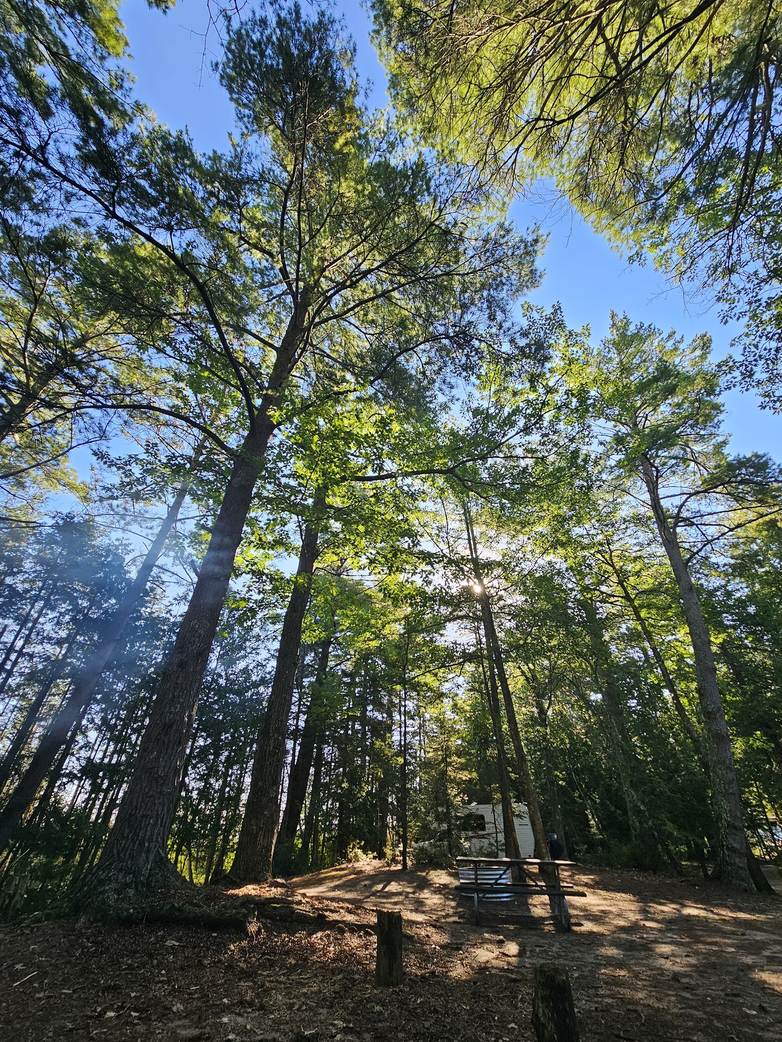 Ossineke State Forest Campground