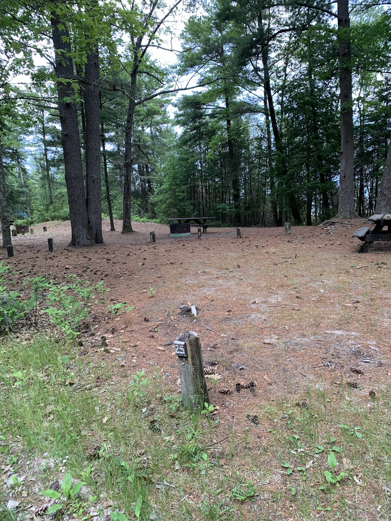 Ossineke State Forest Campground
