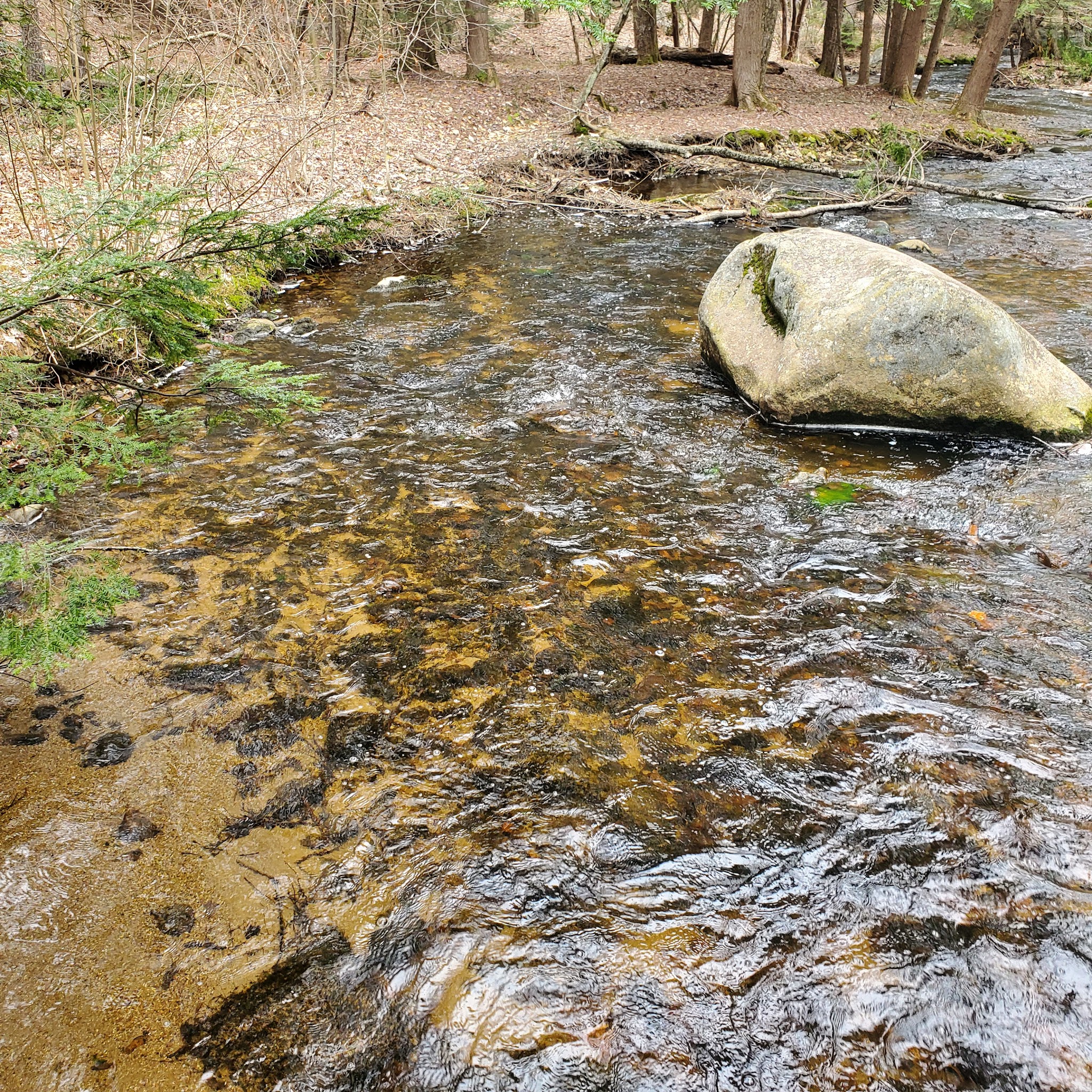 Otter River State Forest