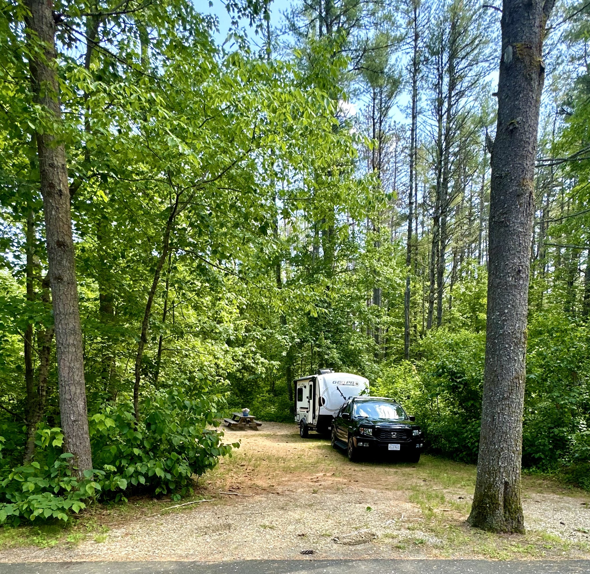 Otter River State Forest