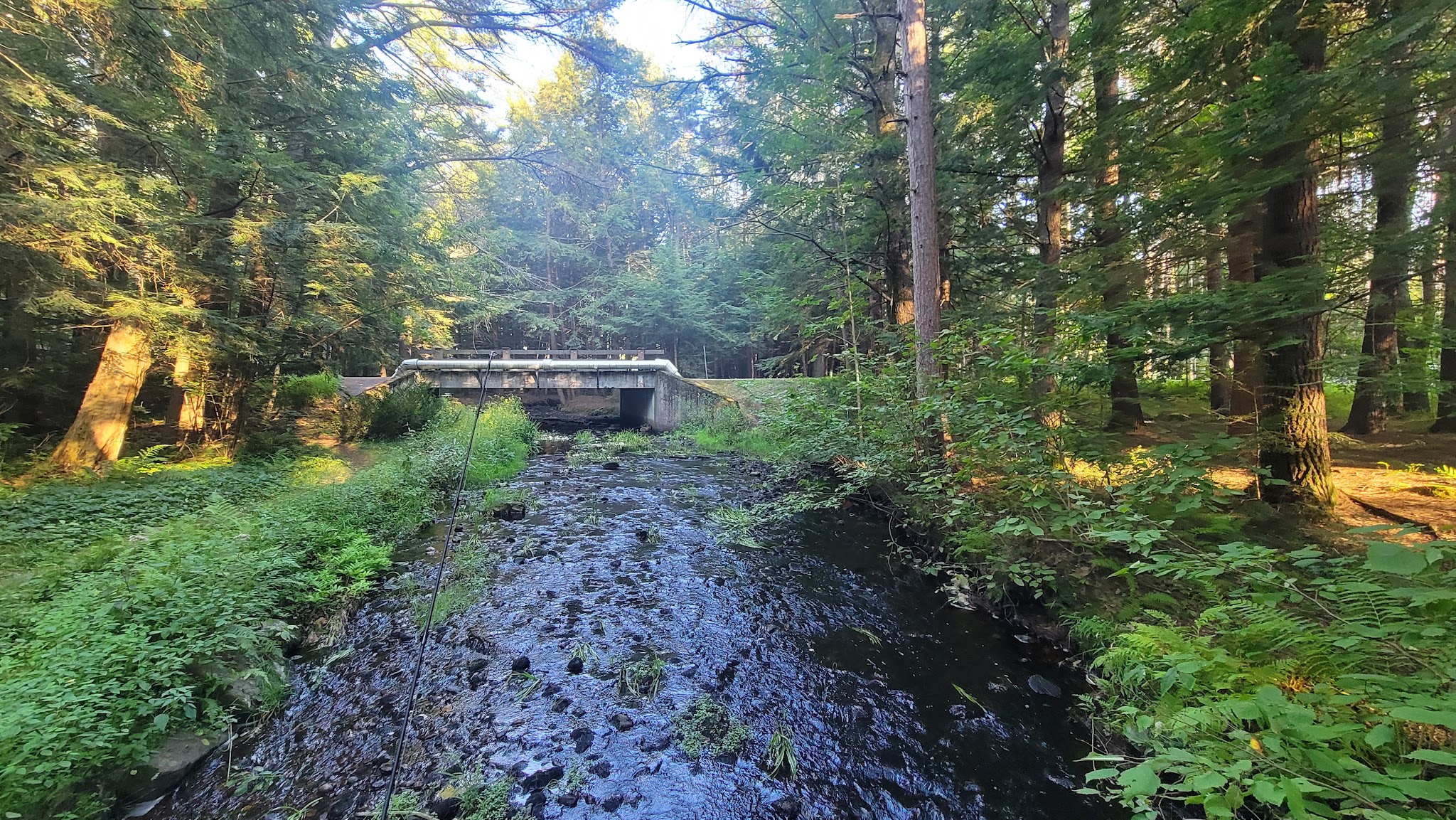 Otter River State Forest