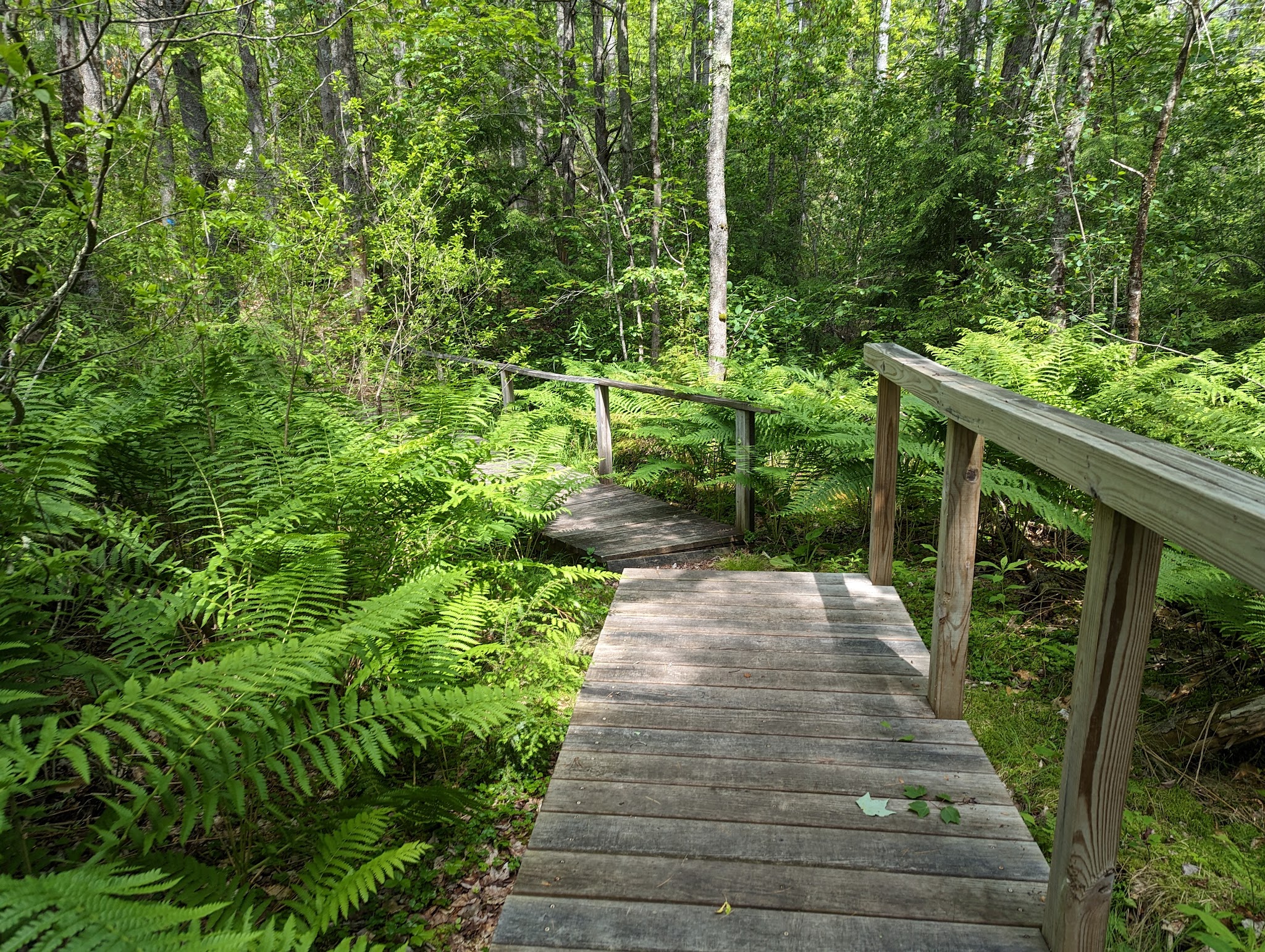 Otter River State Forest