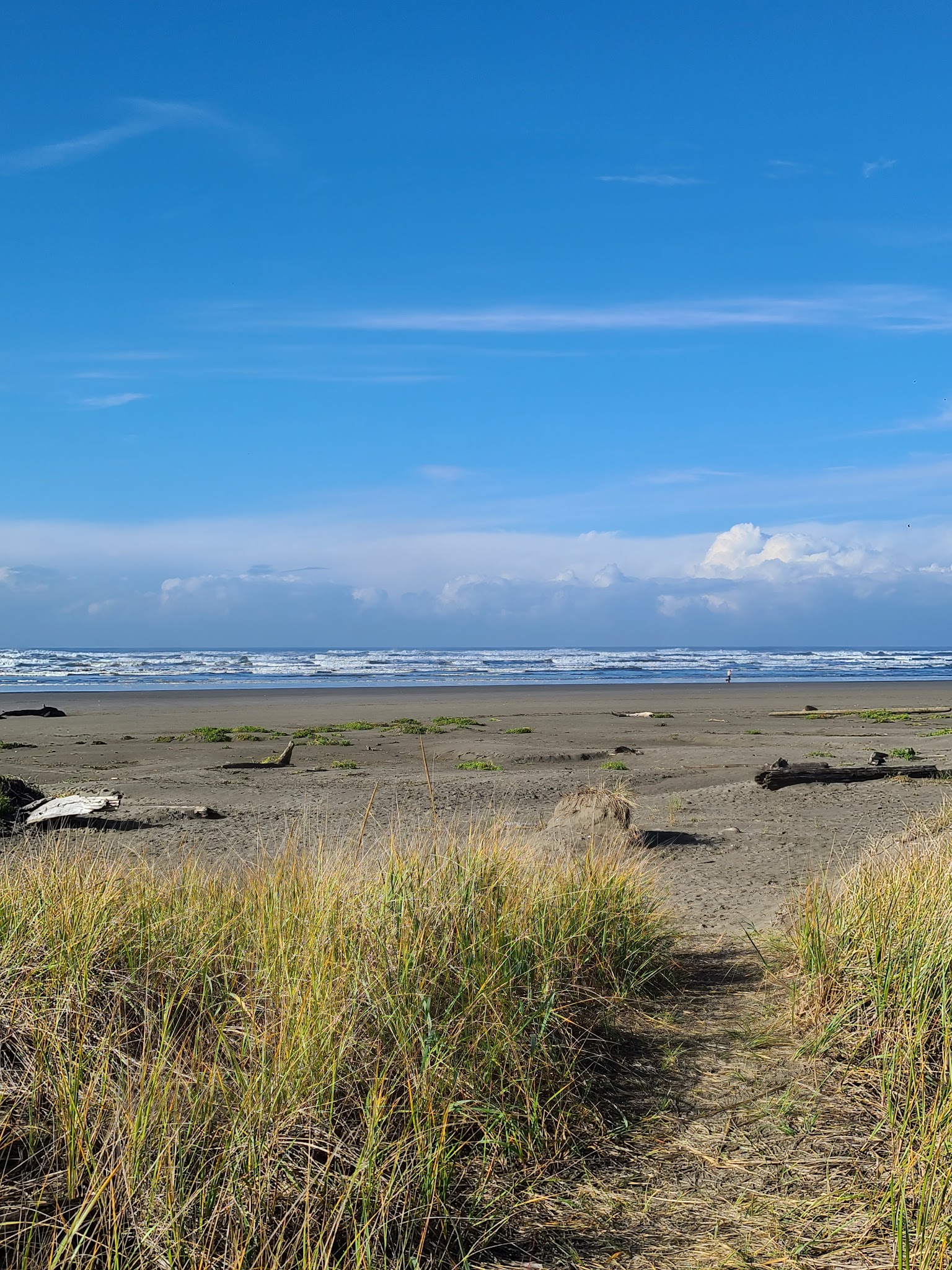 Pacific Beach State Park