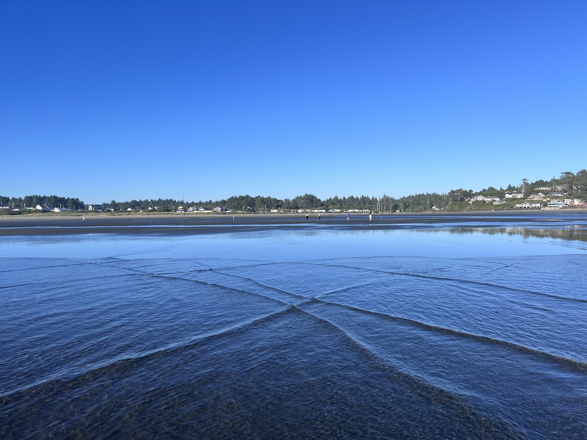Pacific Beach State Park
