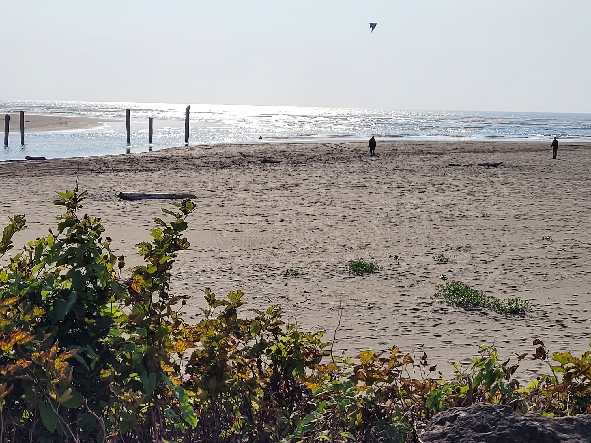 Pacific Beach State Park