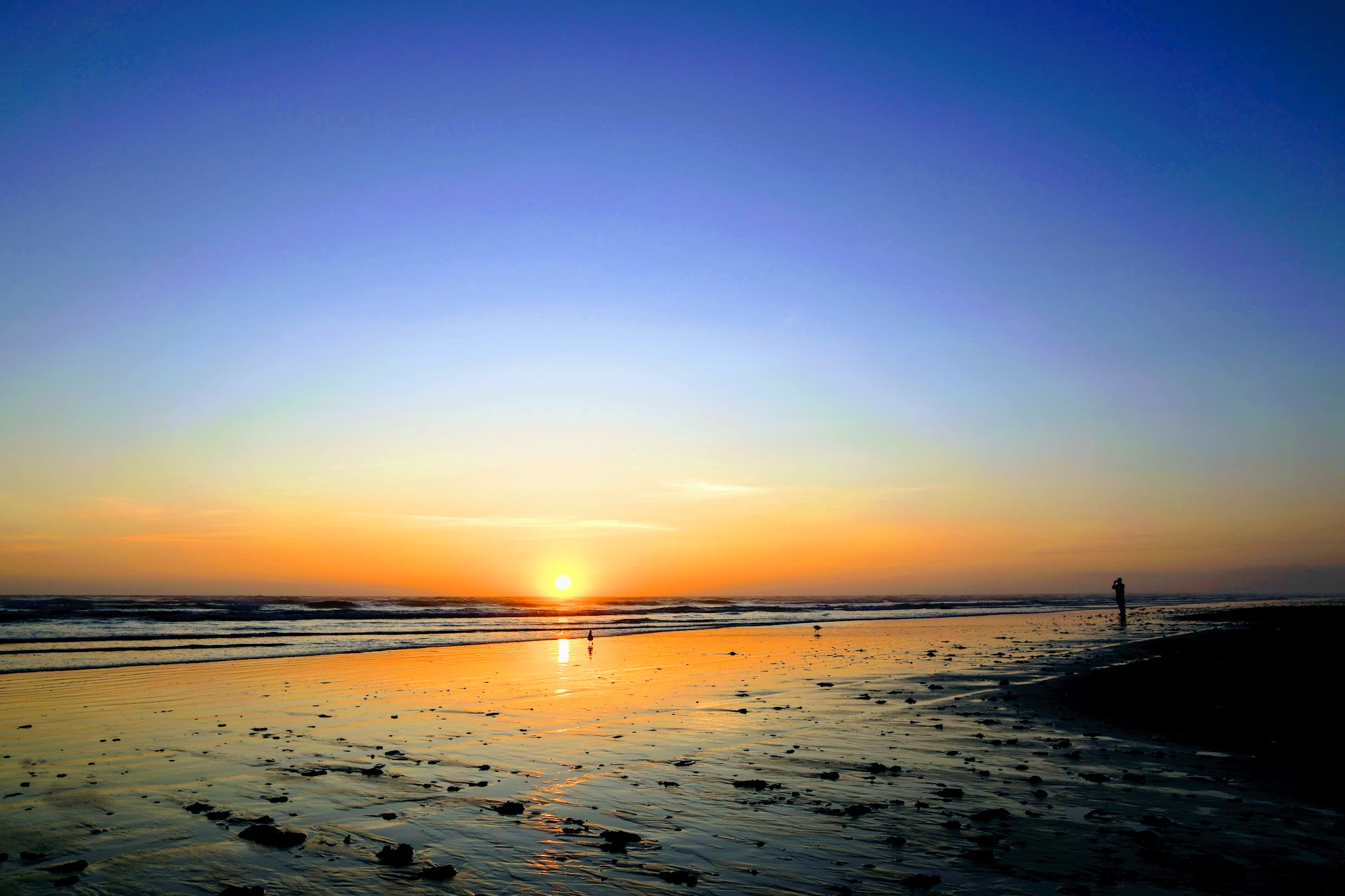 Pacific Beach State Park