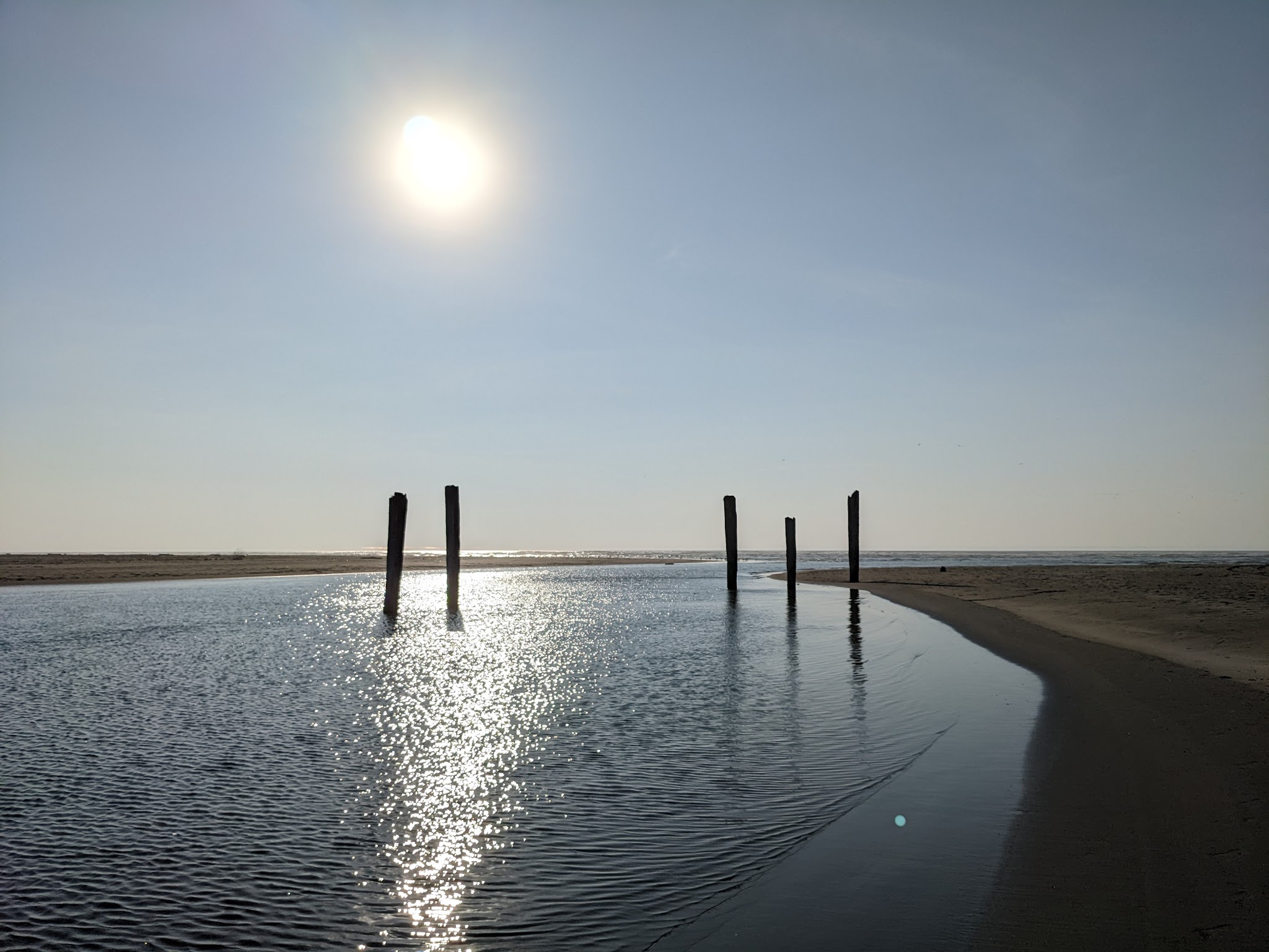 Pacific Beach State Park