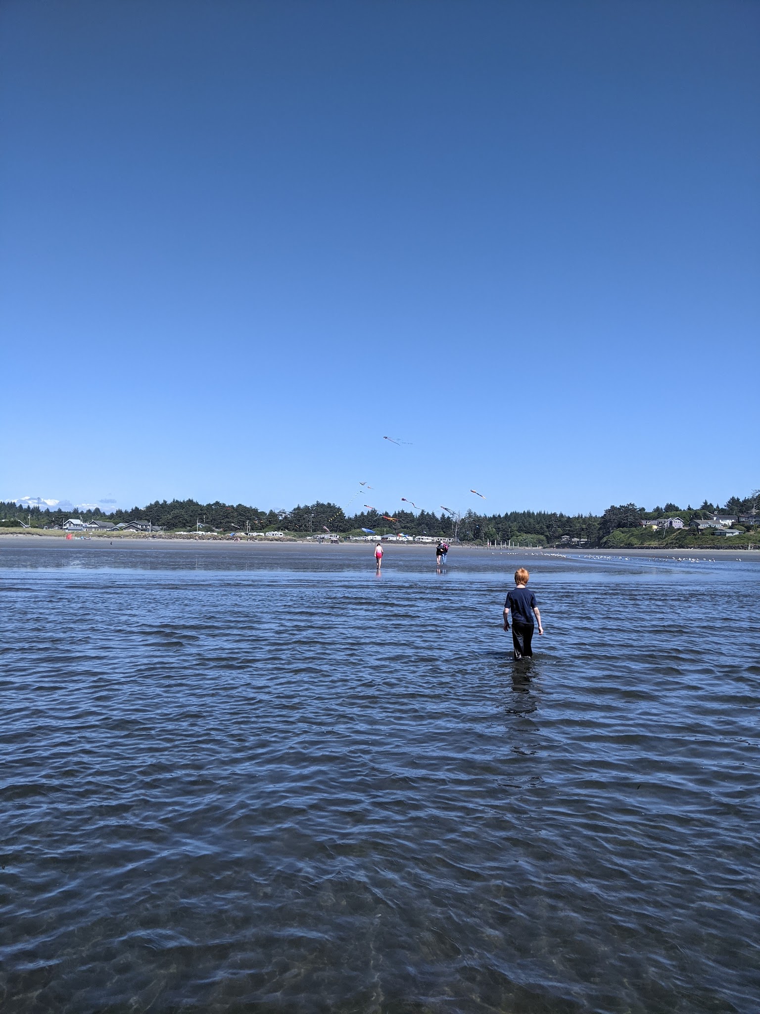 Pacific Beach State Park
