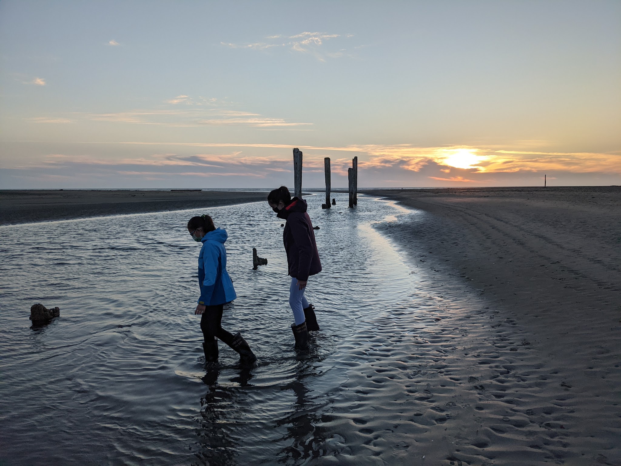 Pacific Beach State Park